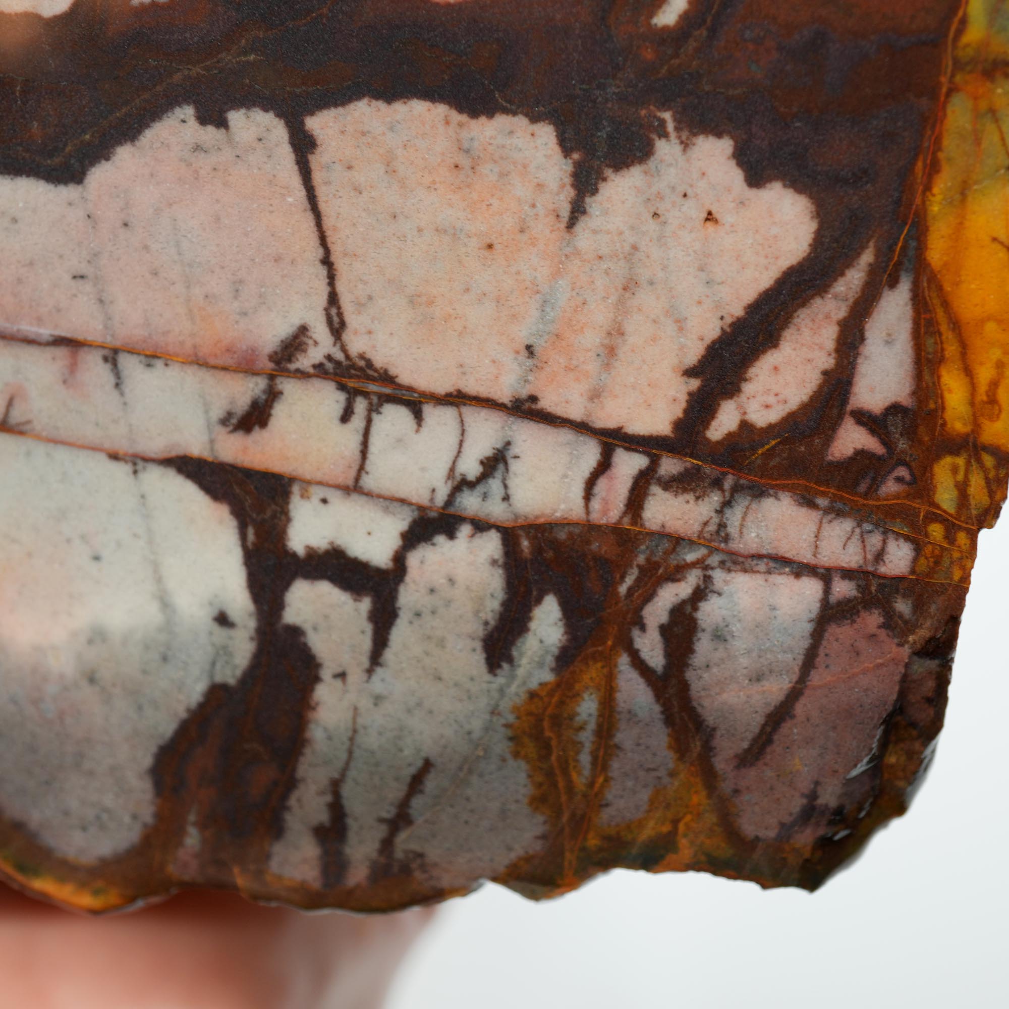 Outback Jasper Cut and Proven - High-Grade Sunset and Twilight Large Block