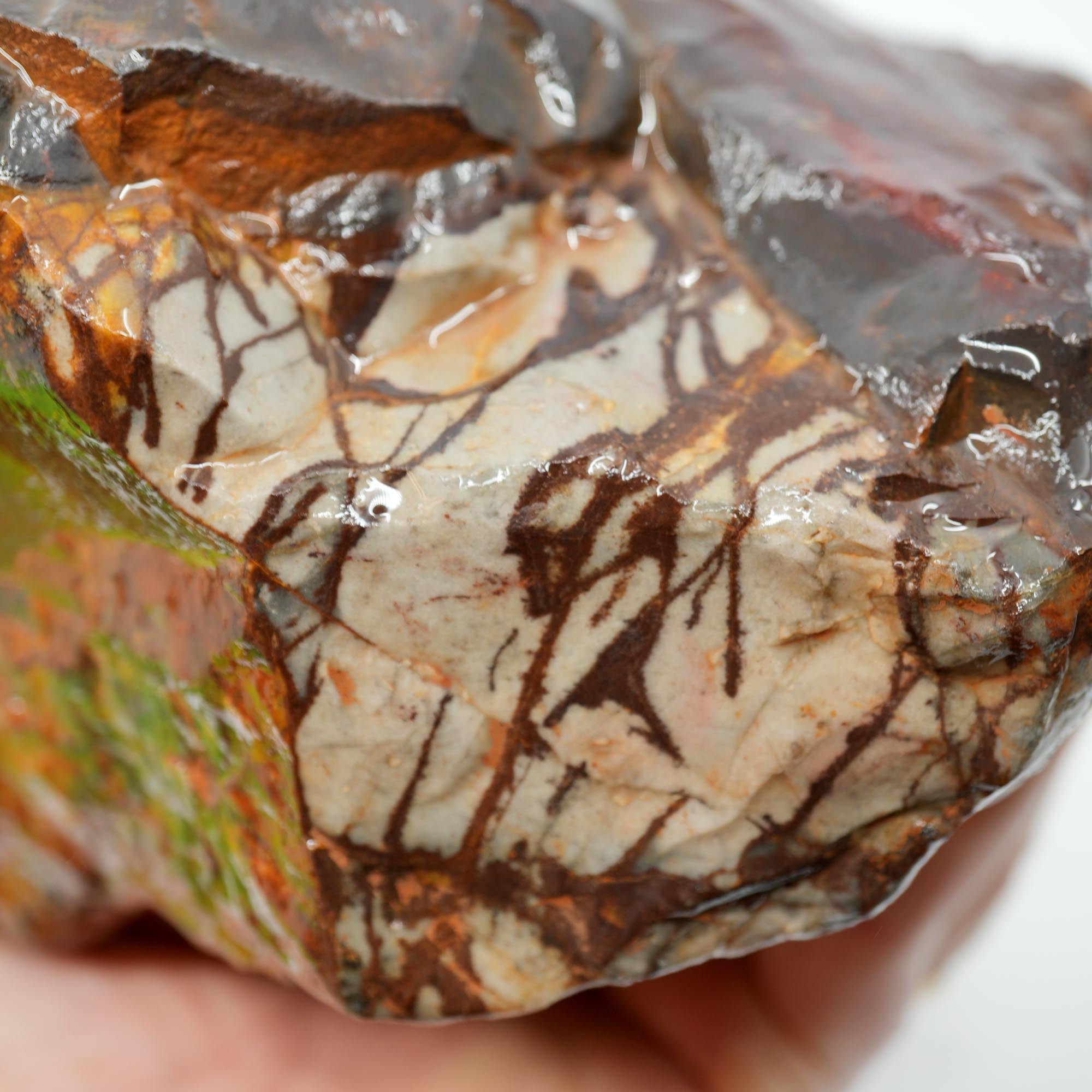 Outback Jasper Cut and Proven - High-Grade Sunset and Twilight Large Block