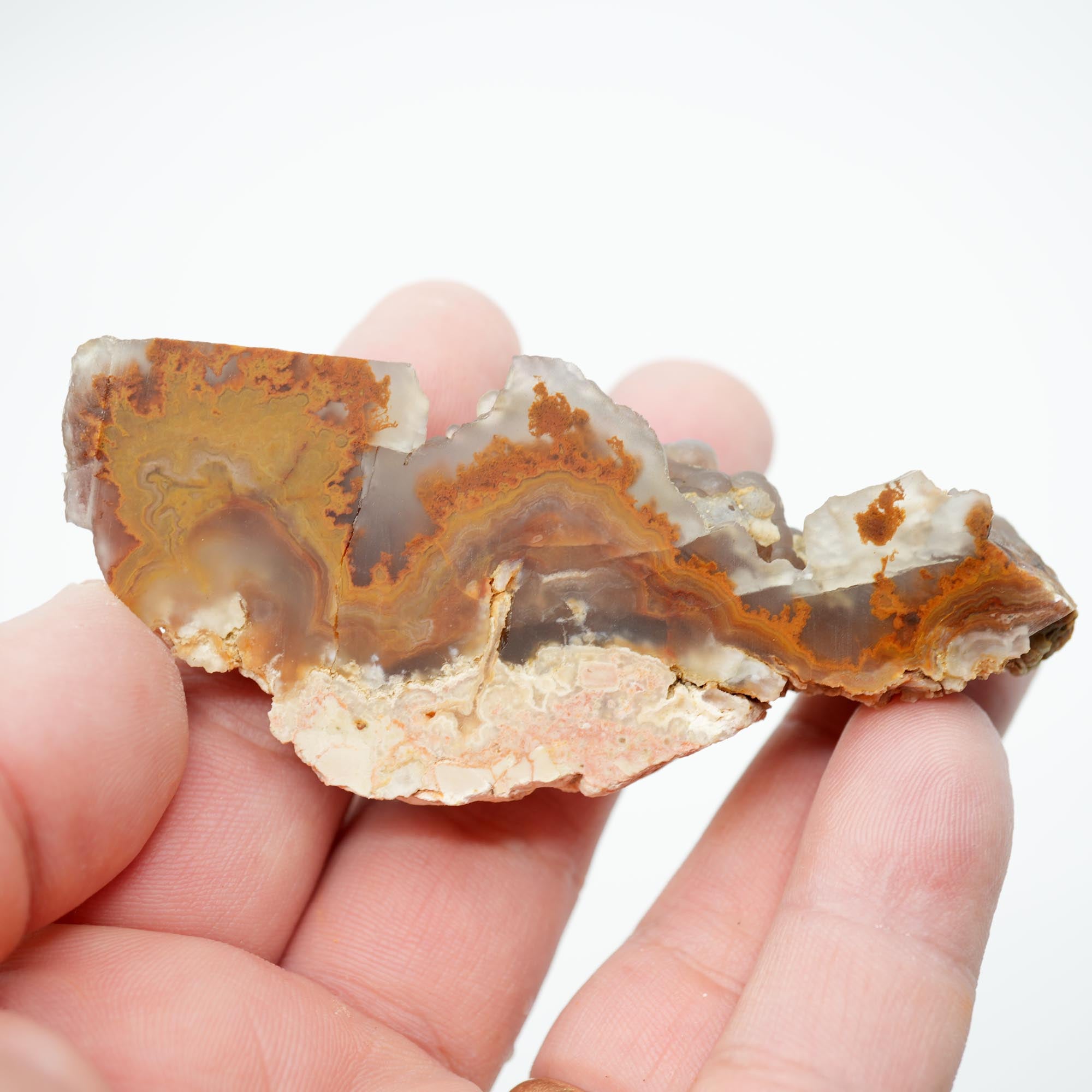 Lysite Agate Cut Endcut - Old Stock Rolling Plume with Blue Agate Botryoidal