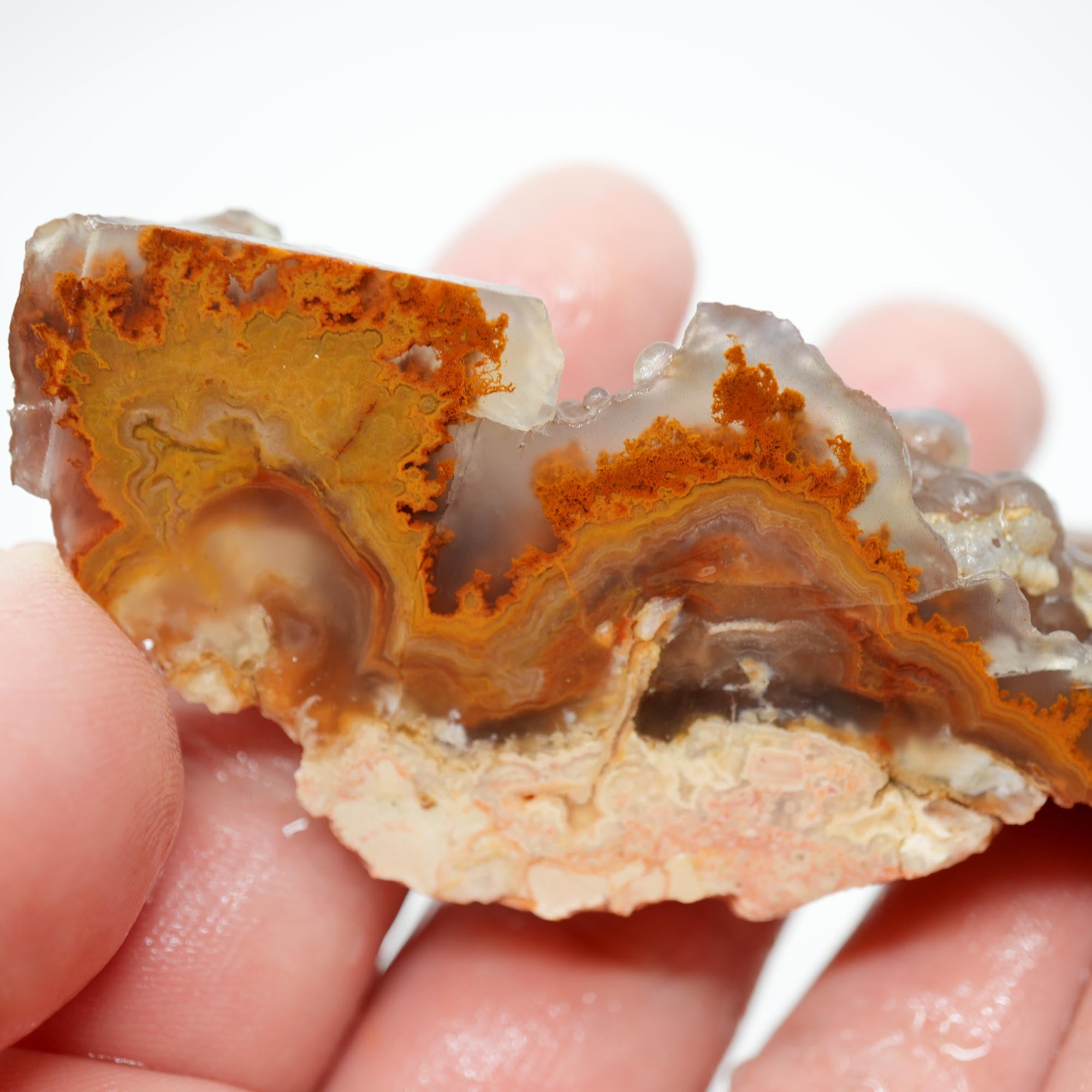 Lysite Agate Cut Endcut - Old Stock Rolling Plume with Blue Agate Botryoidal