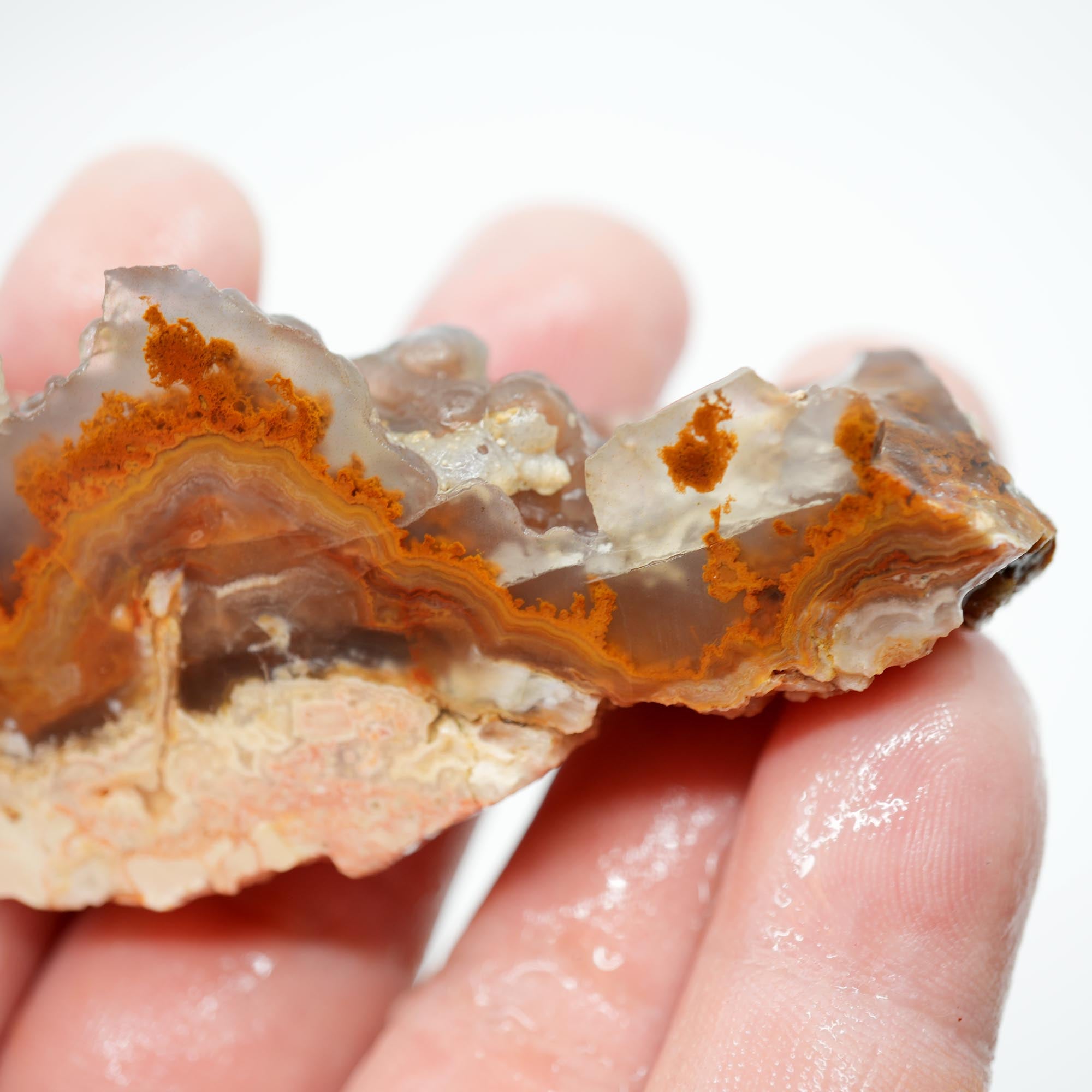 Lysite Agate Cut Endcut - Old Stock Rolling Plume with Blue Agate Botryoidal