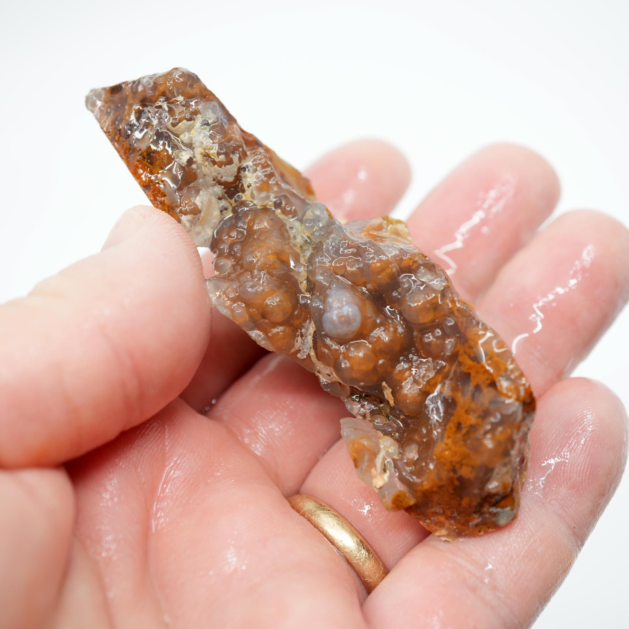 Lysite Agate Cut Endcut - Old Stock Rolling Plume with Blue Agate Botryoidal