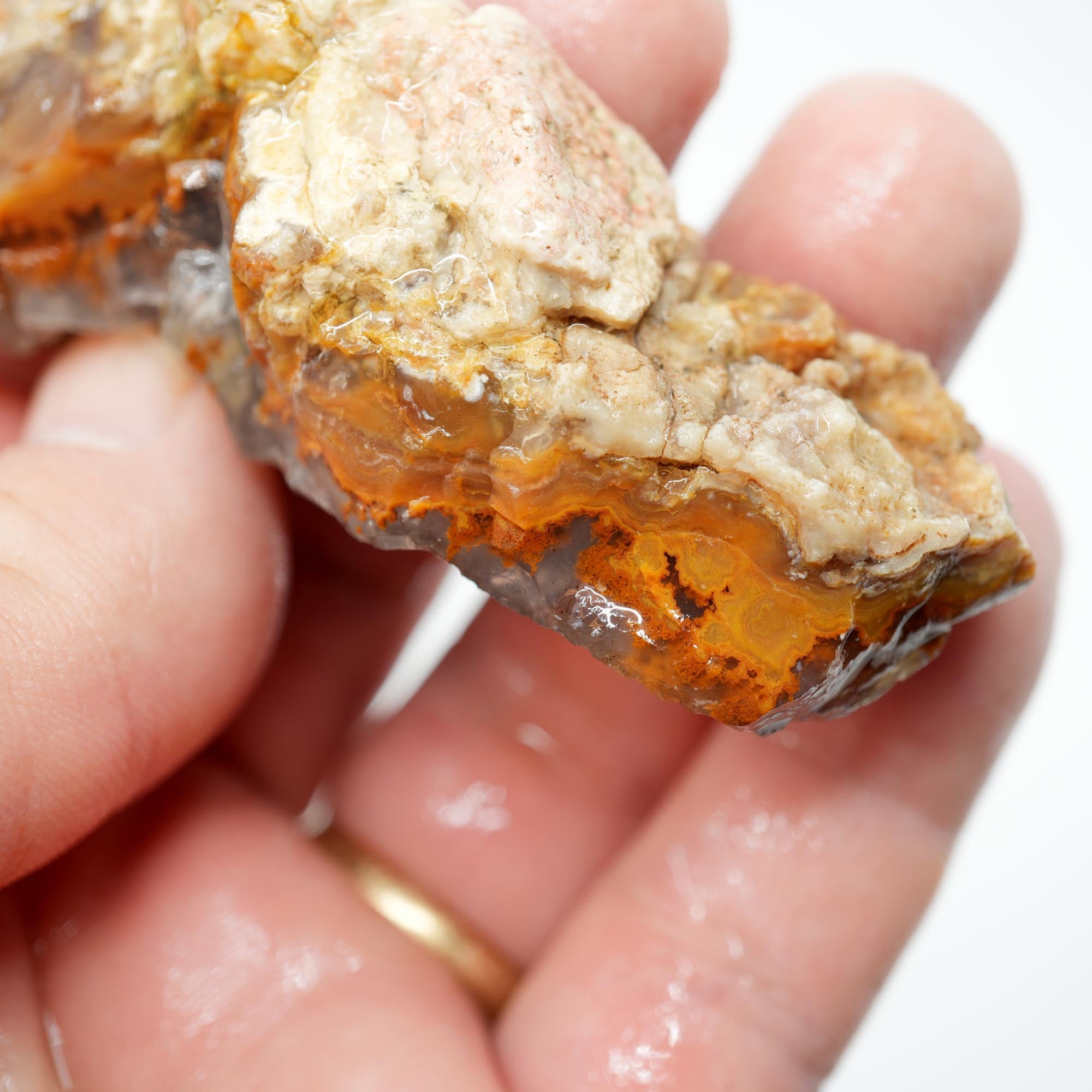 Lysite Agate Cut Endcut - Old Stock Rolling Plume with Blue Agate Botryoidal