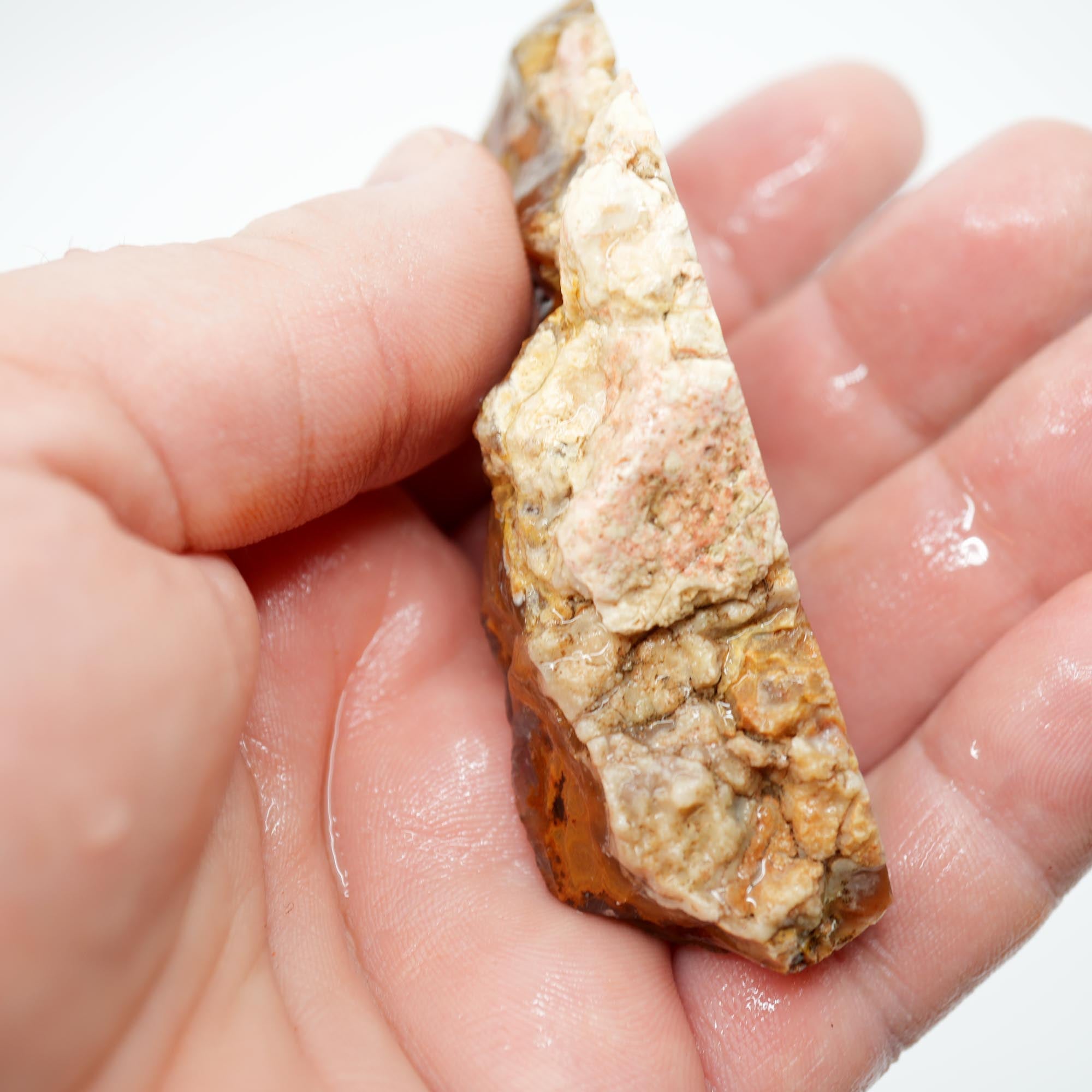 Lysite Agate Cut Endcut - Old Stock Rolling Plume with Blue Agate Botryoidal