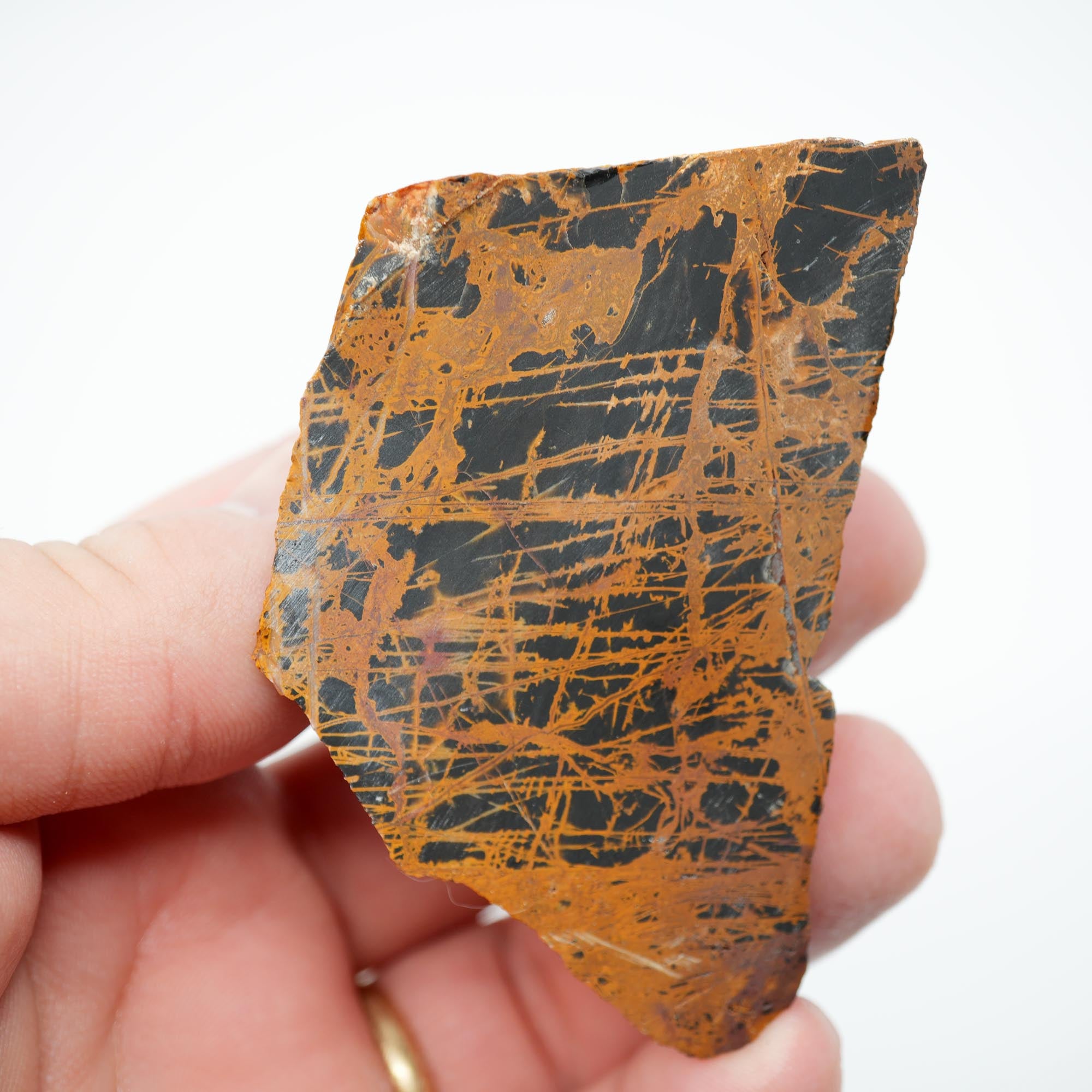 Pilbara Jasper Endcut - High-Grade Pattern on Cut Face Display
