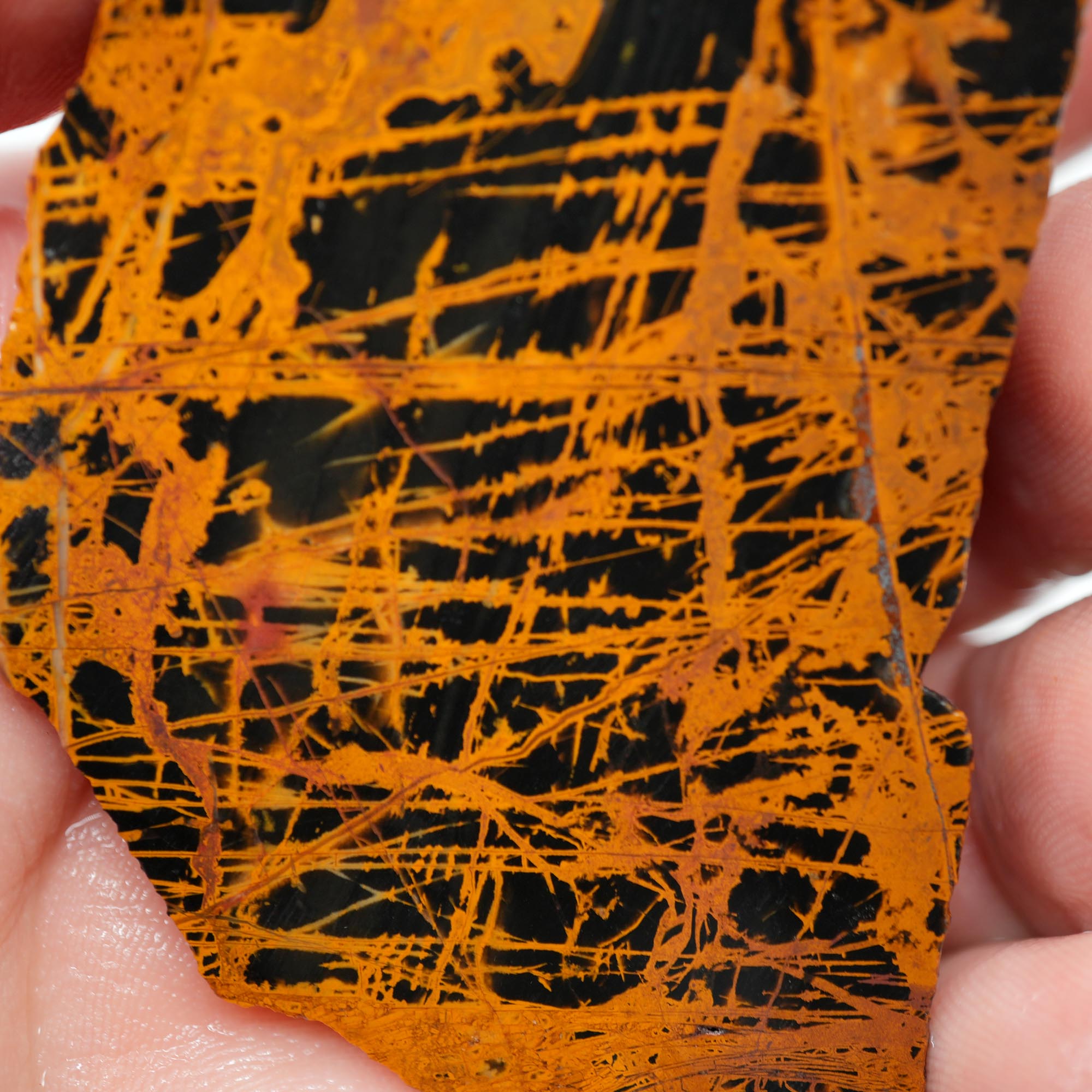 Pilbara Jasper Endcut - High-Grade Pattern on Cut Face Display