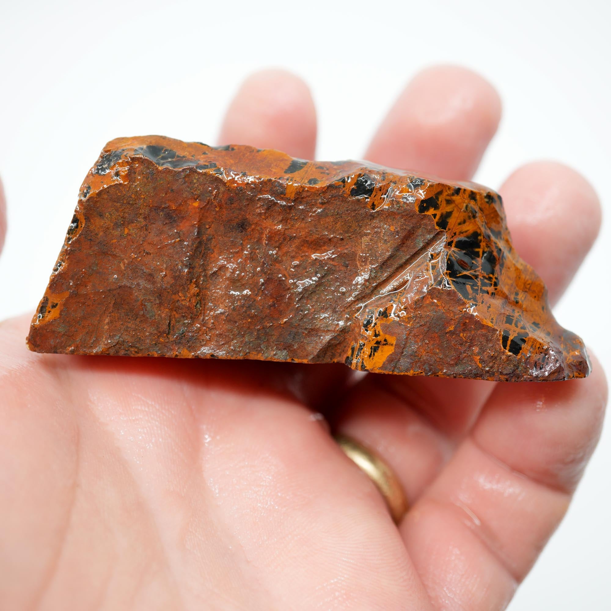 Pilbara Jasper Endcut - High-Grade Pattern on Cut Face Display