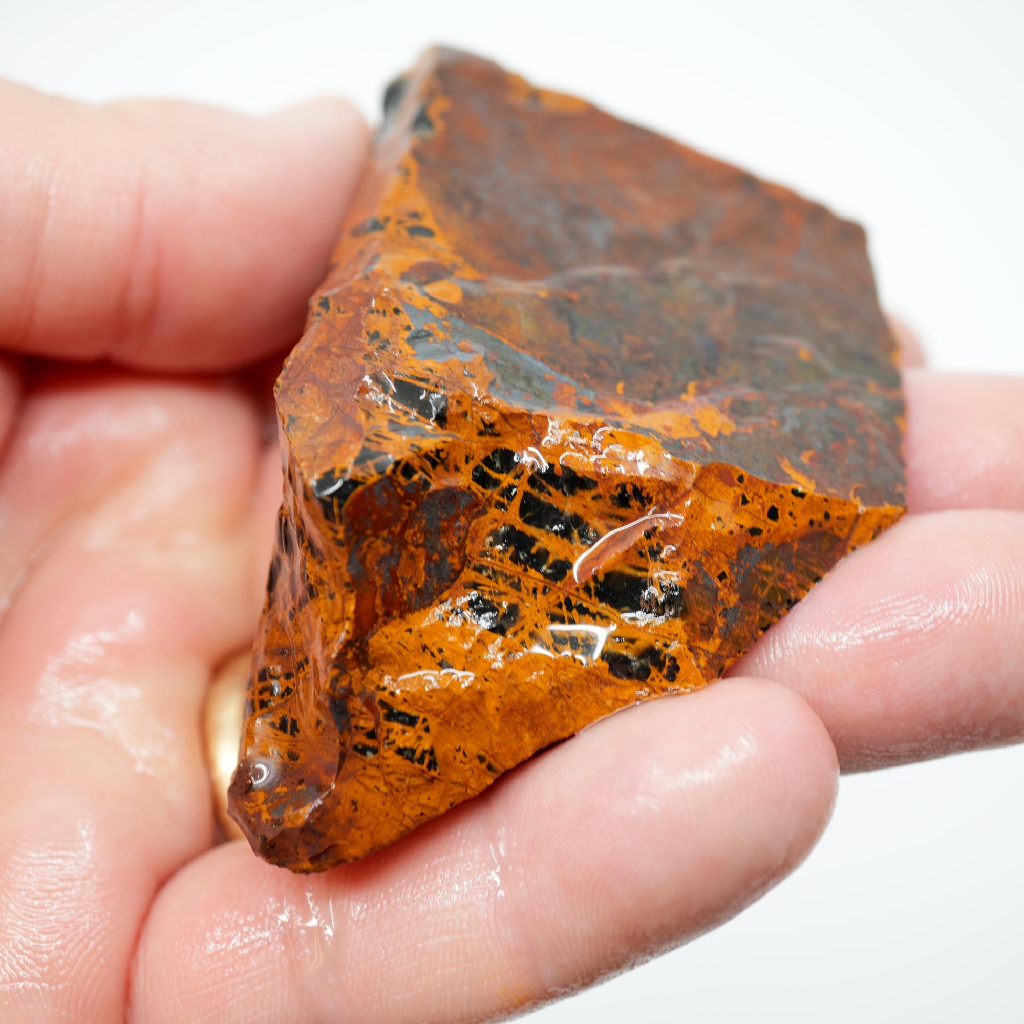 Pilbara Jasper Endcut - High-Grade Pattern on Cut Face Display