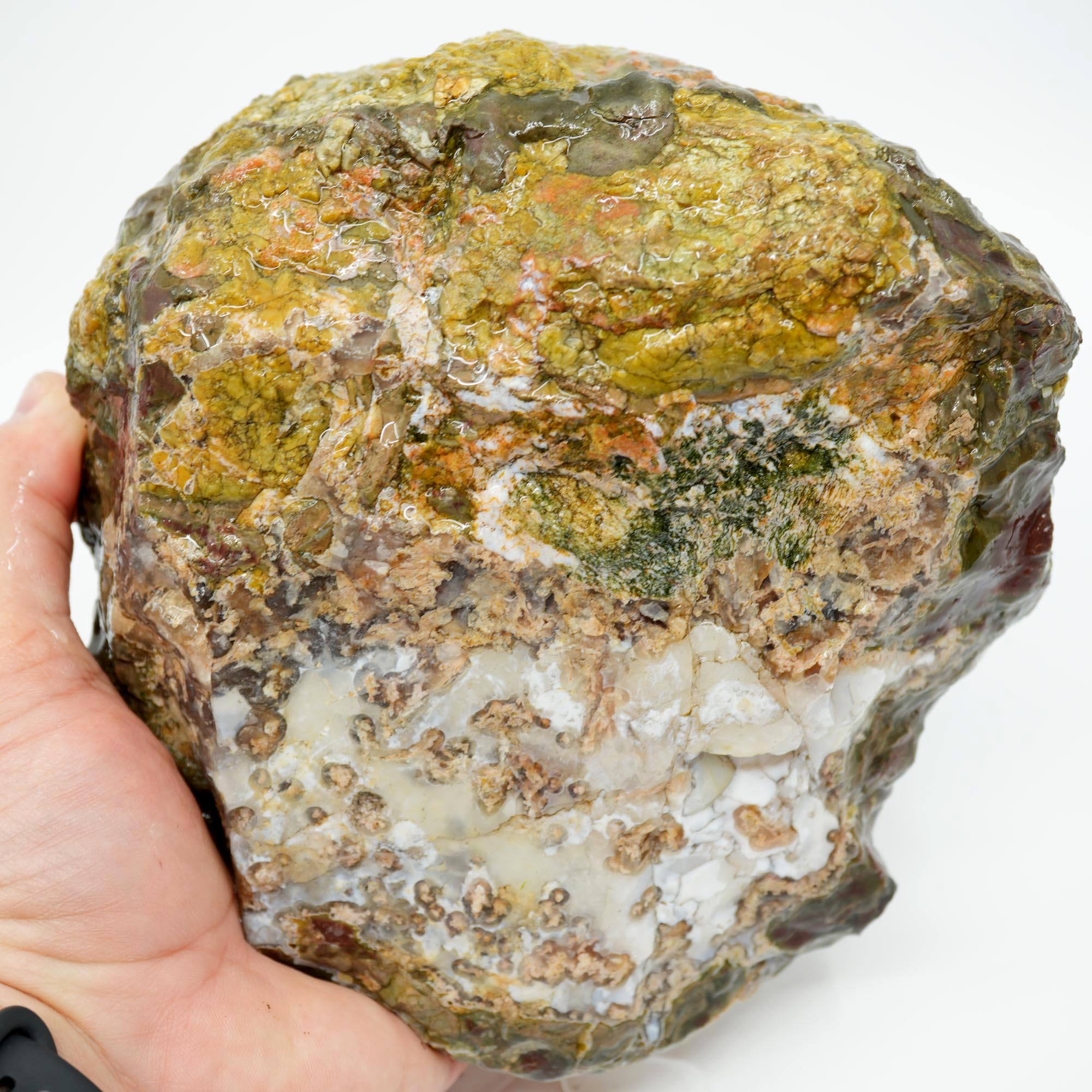Mystery Thunderegg Rough - Tube Moss with Plume Potential Old Stock Ochoco