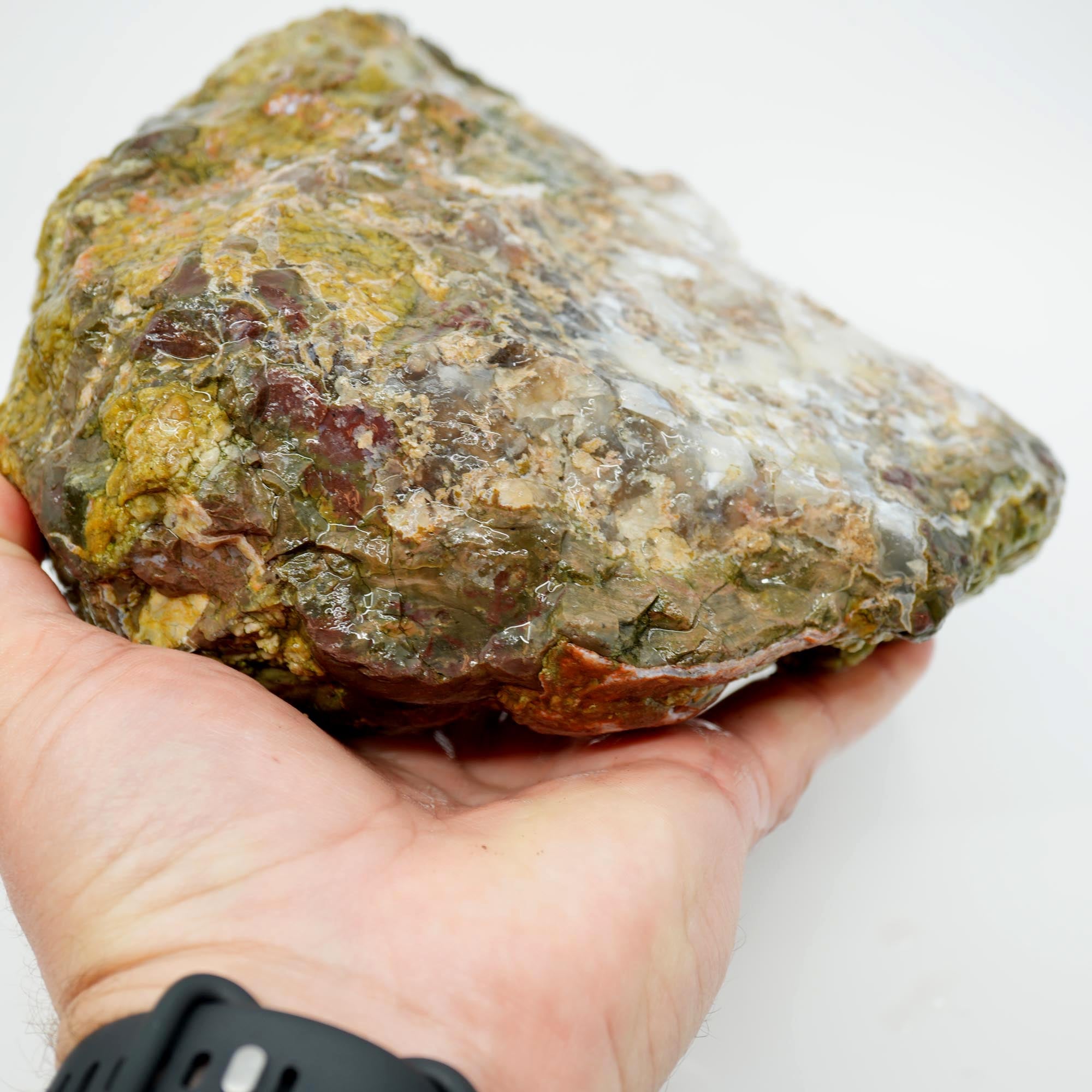 Mystery Thunderegg Rough - Tube Moss with Plume Potential Old Stock Ochoco