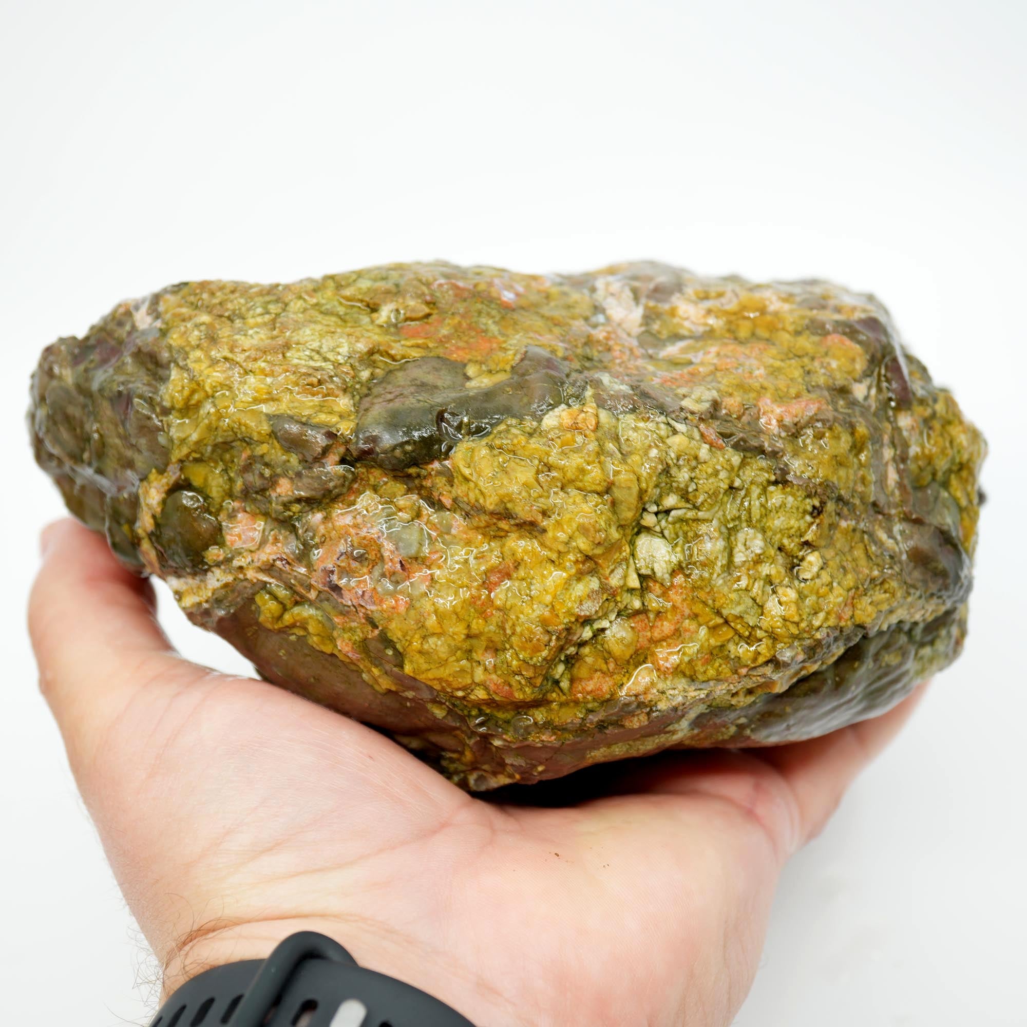 Mystery Thunderegg Rough - Tube Moss with Plume Potential Old Stock Ochoco