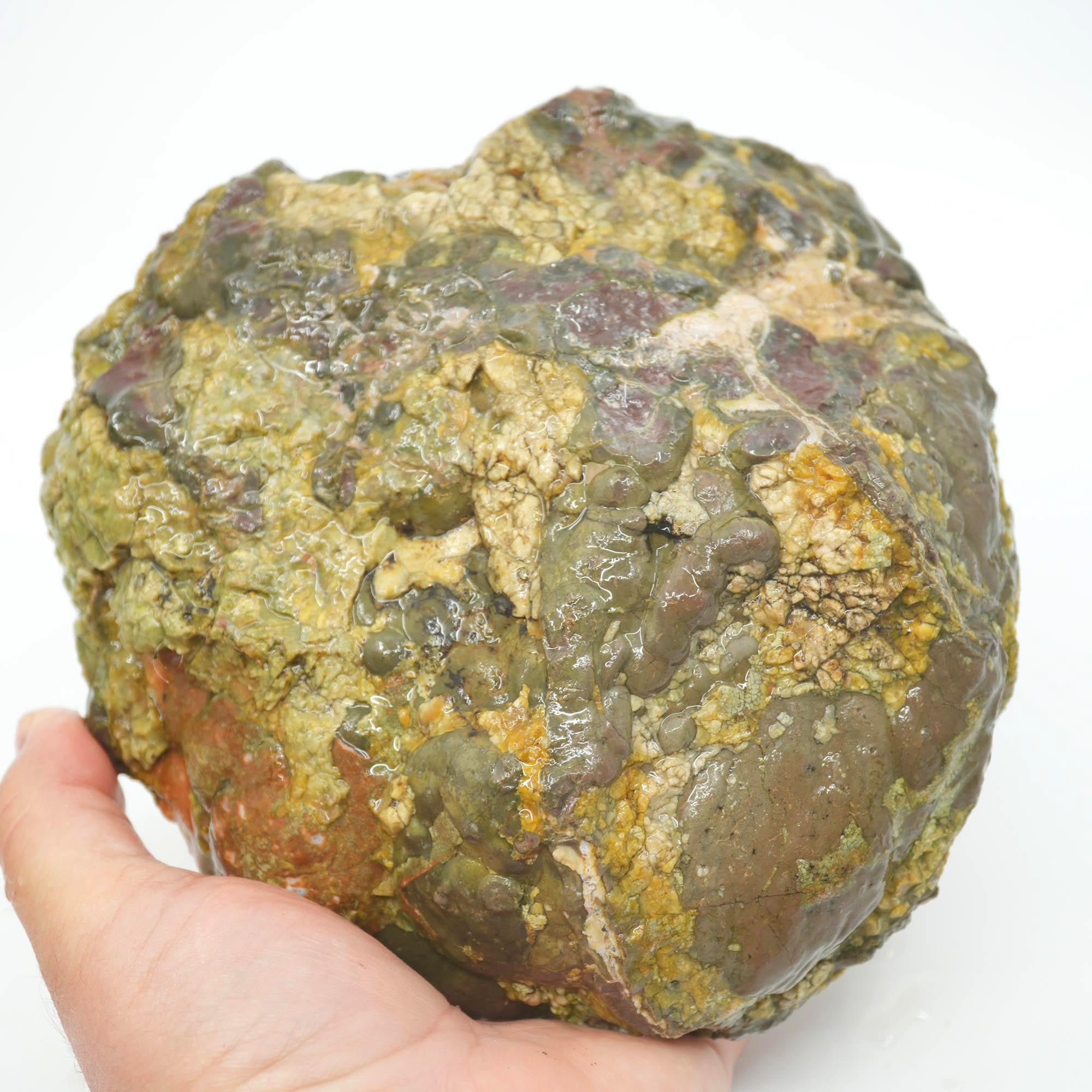 Mystery Thunderegg Rough - Tube Moss with Plume Potential Old Stock Ochoco