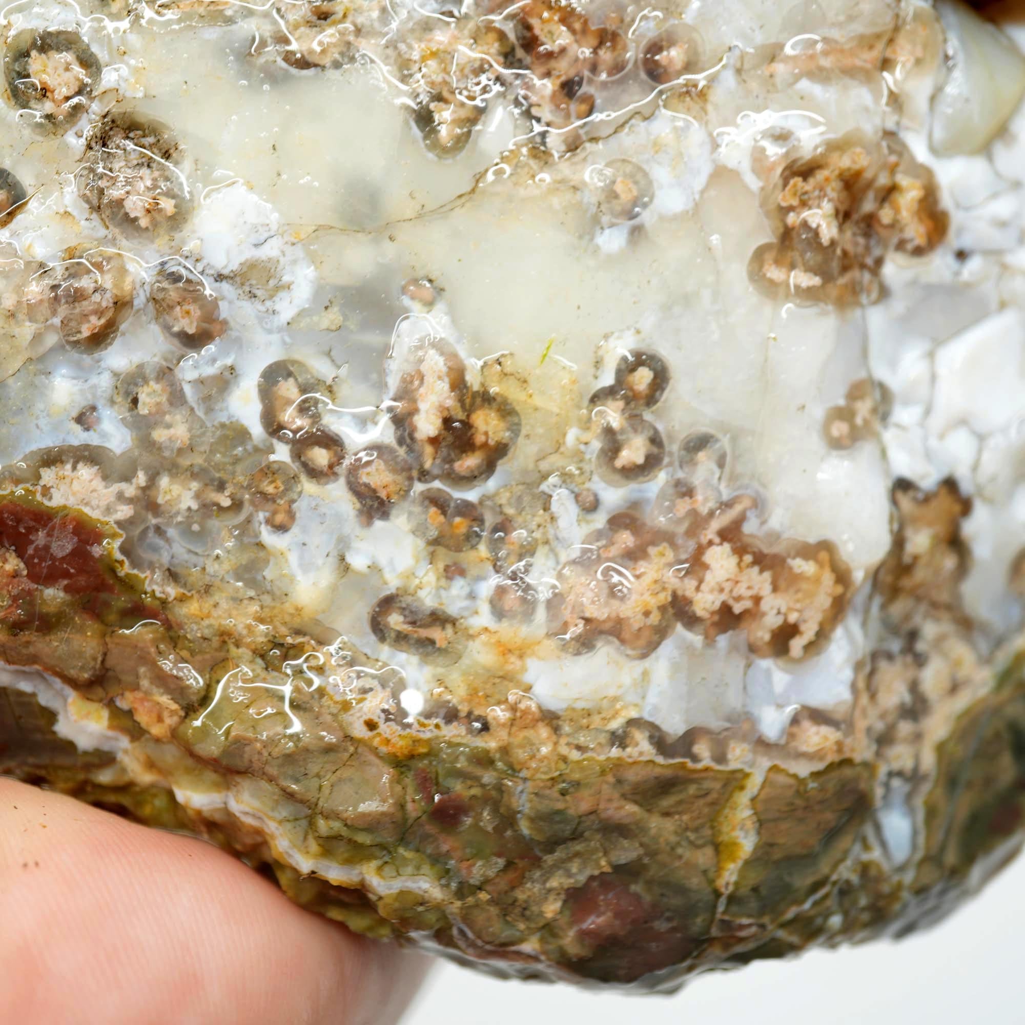 Mystery Thunderegg Rough - Tube Moss with Plume Potential Old Stock Ochoco