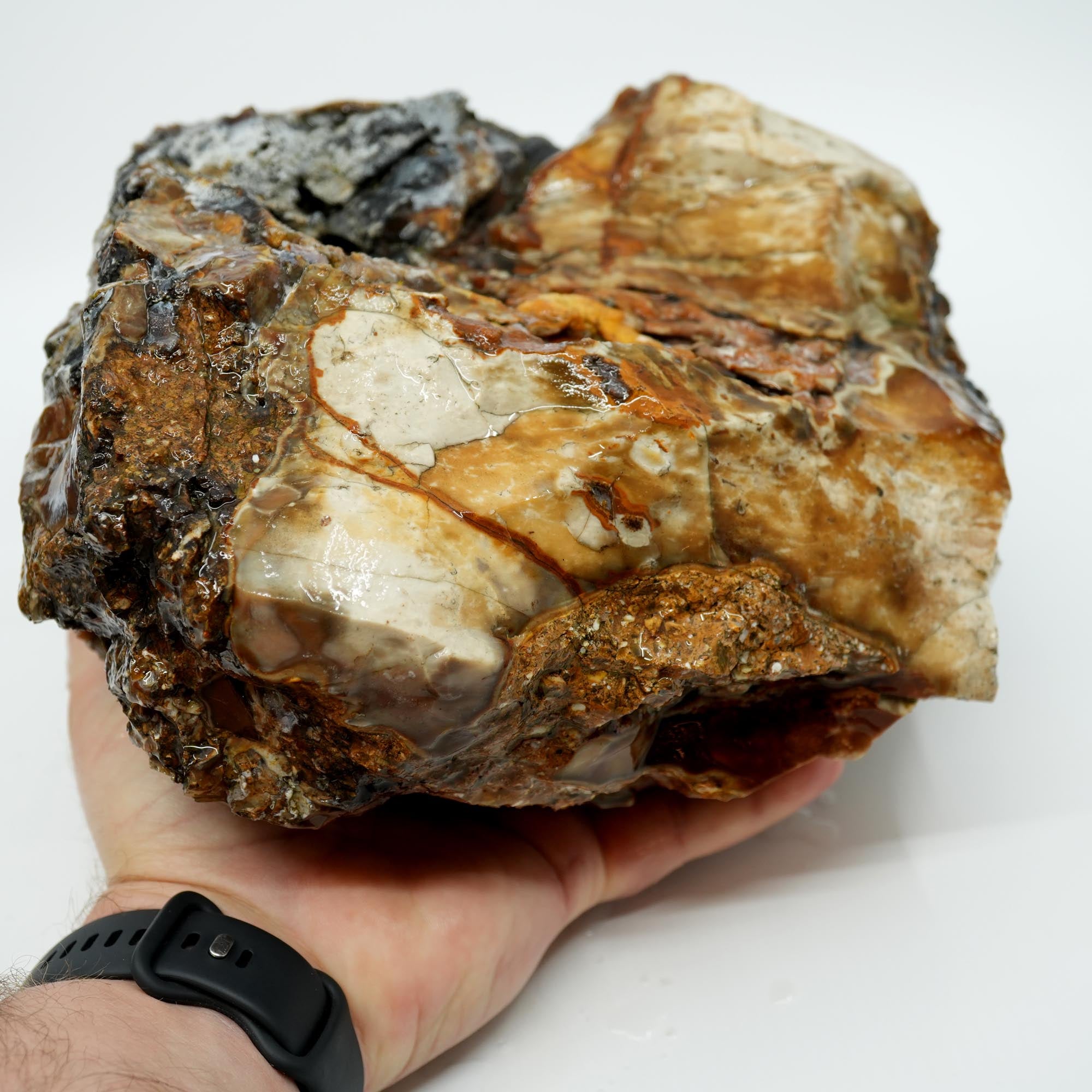 Paiute Jasper Rough - Old Stock Smoky Caramel with Wave-Like Clouds Large Cutter