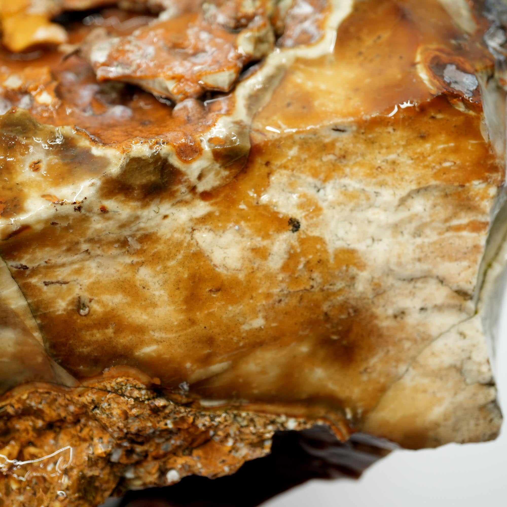 Paiute Jasper Rough - Old Stock Smoky Caramel with Wave-Like Clouds Large Cutter
