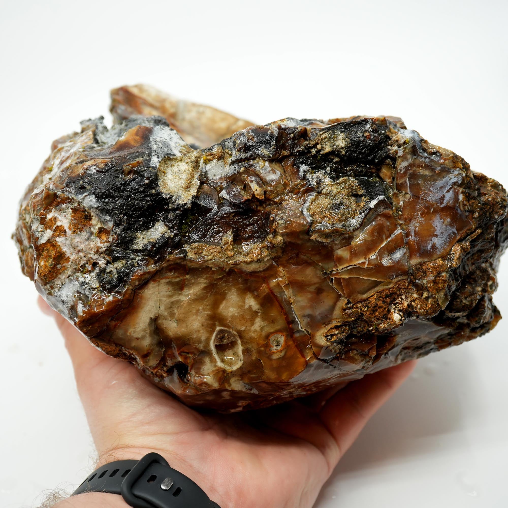 Paiute Jasper Rough - Old Stock Smoky Caramel with Wave-Like Clouds Large Cutter