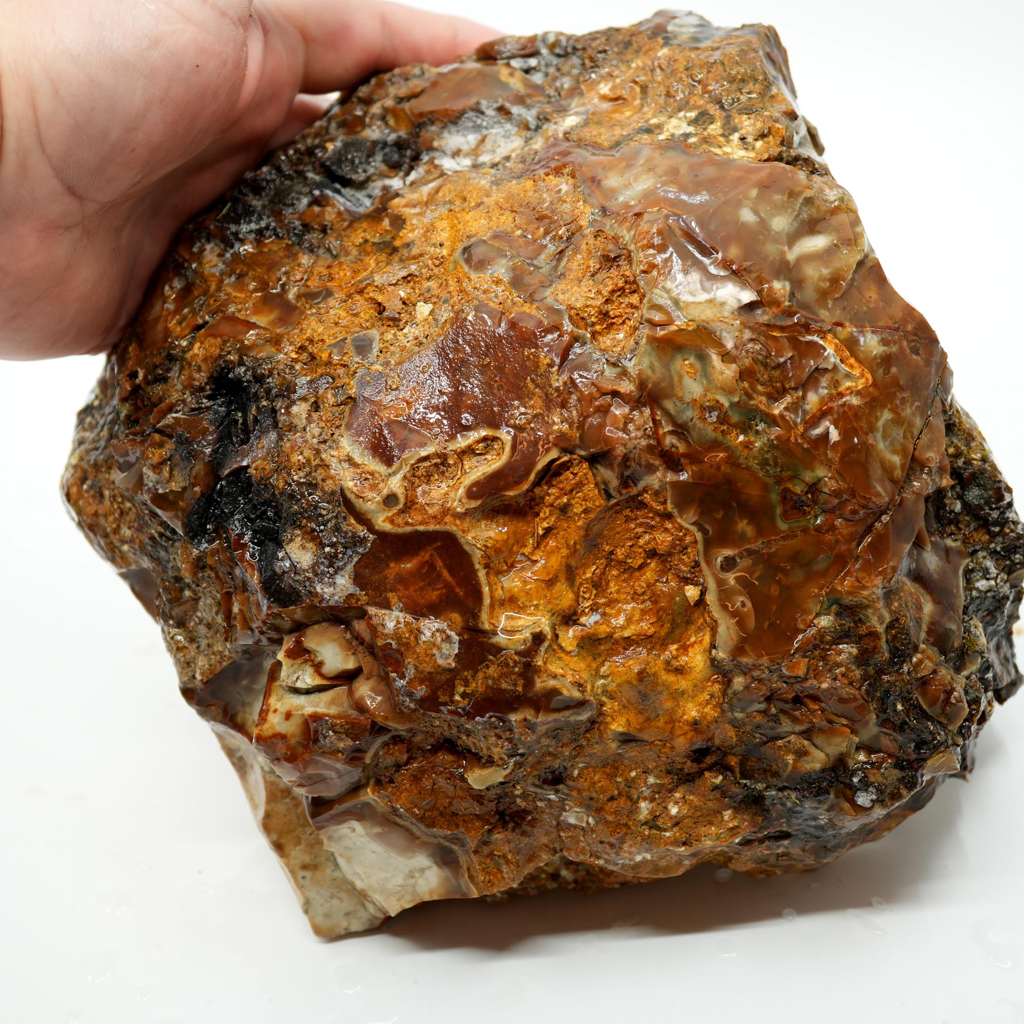 Paiute Jasper Rough - Old Stock Smoky Caramel with Wave-Like Clouds Large Cutter