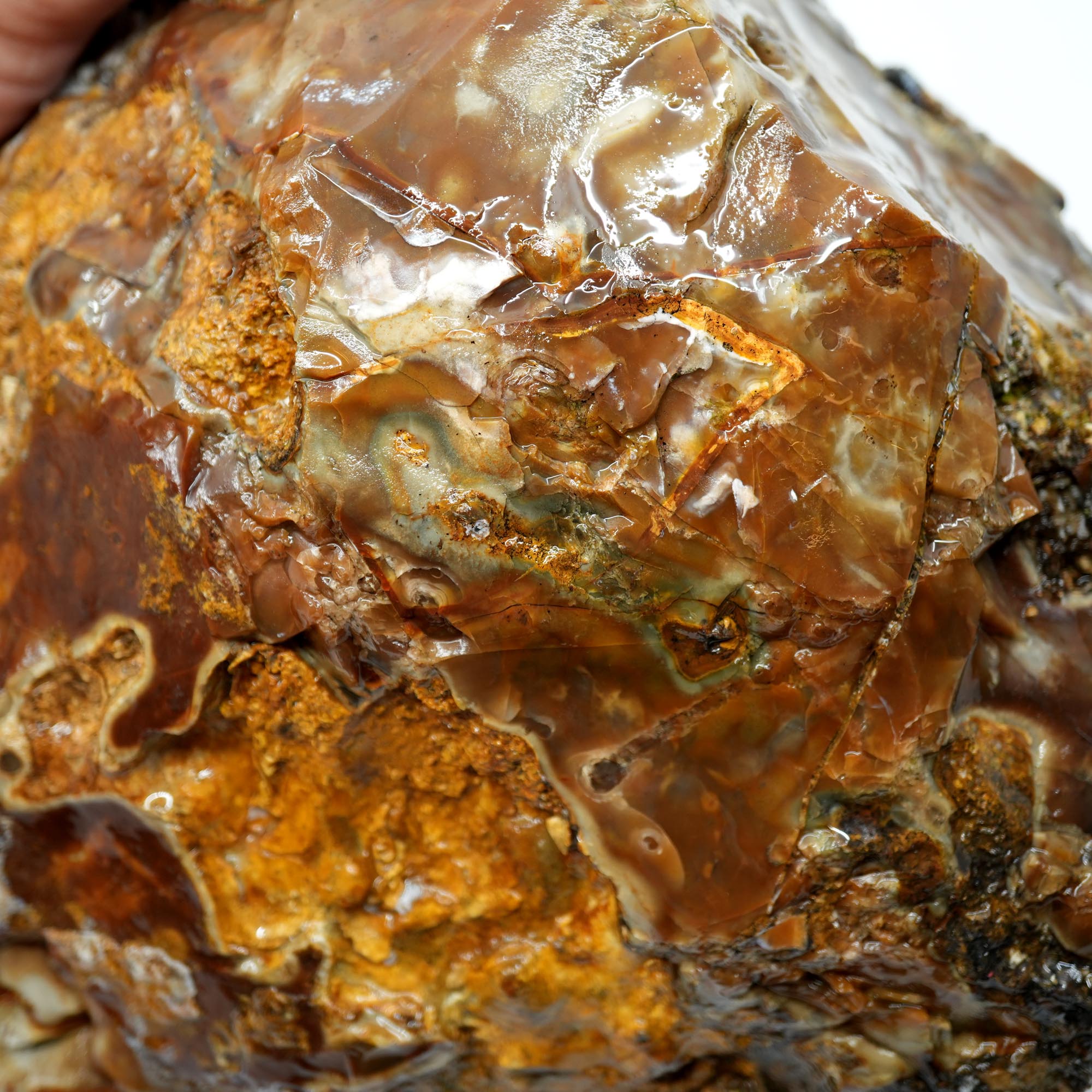 Paiute Jasper Rough - Old Stock Smoky Caramel with Wave-Like Clouds Large Cutter