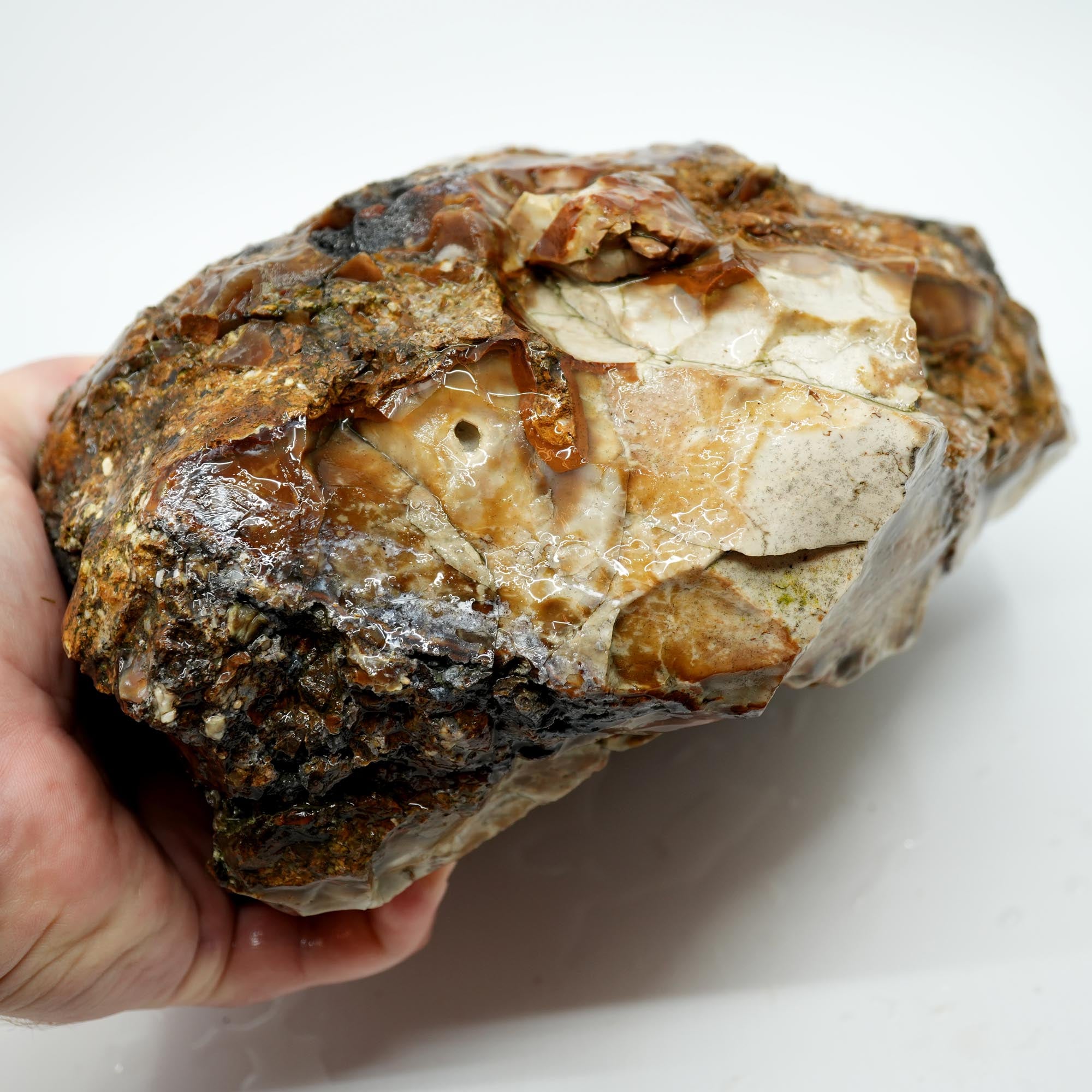 Paiute Jasper Rough - Old Stock Smoky Caramel with Wave-Like Clouds Large Cutter