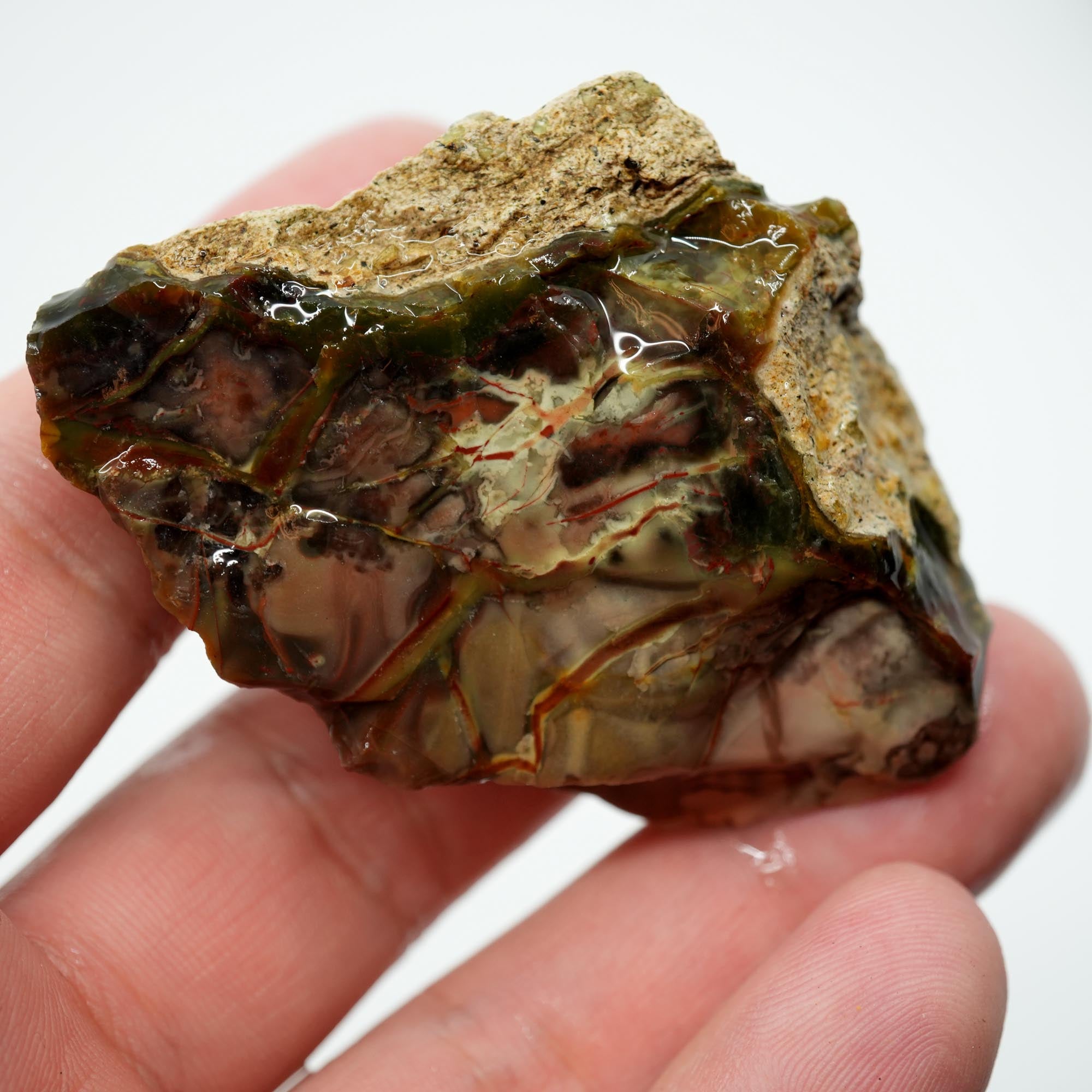 Morrisonite Jasper Rough - Pink with Bright Red Back Small Trimmer