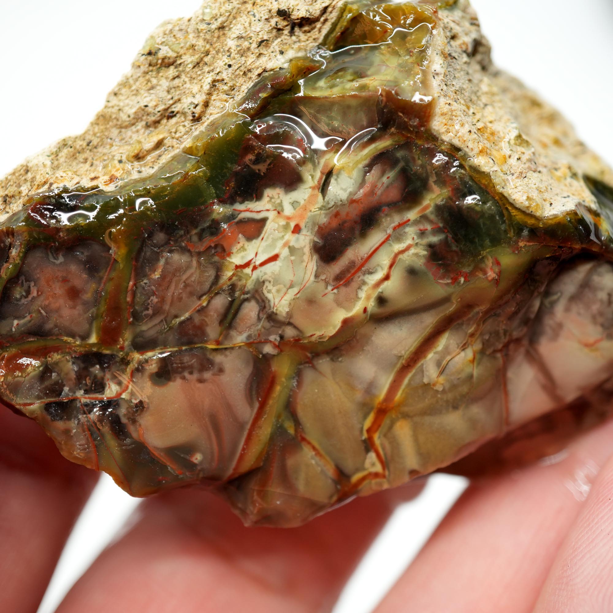 Morrisonite Jasper Rough - Pink with Bright Red Back Small Trimmer
