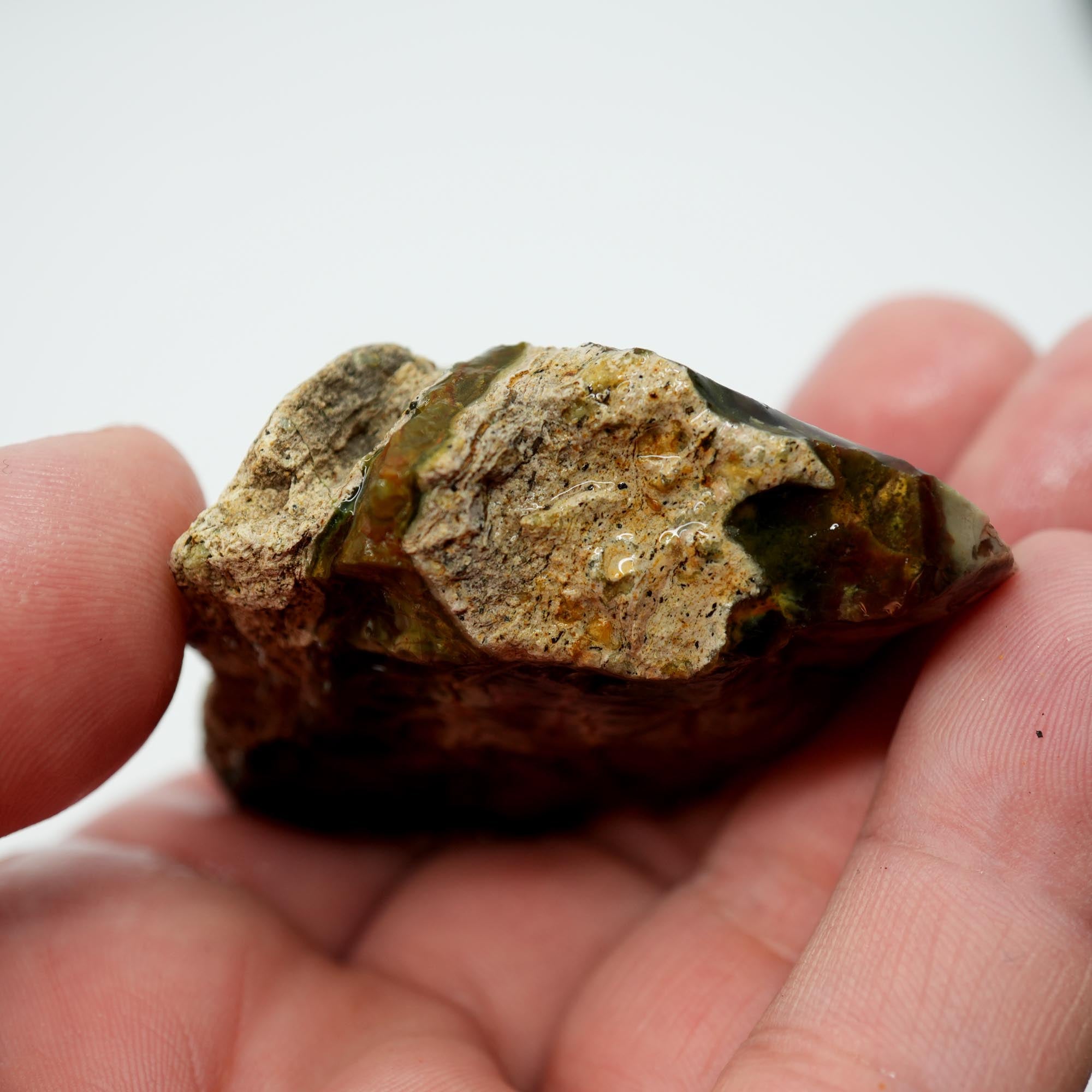 Morrisonite Jasper Rough - Pink with Bright Red Back Small Trimmer