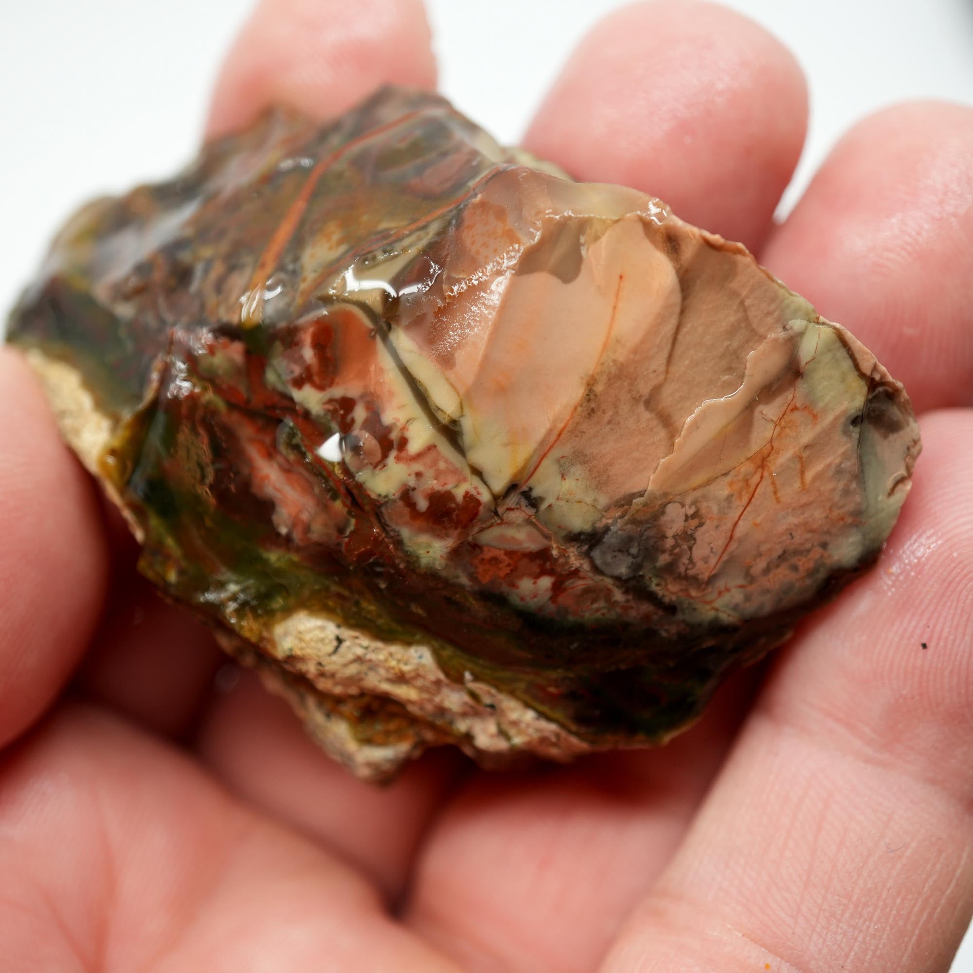 Morrisonite Jasper Rough - Pink with Bright Red Back Small Trimmer