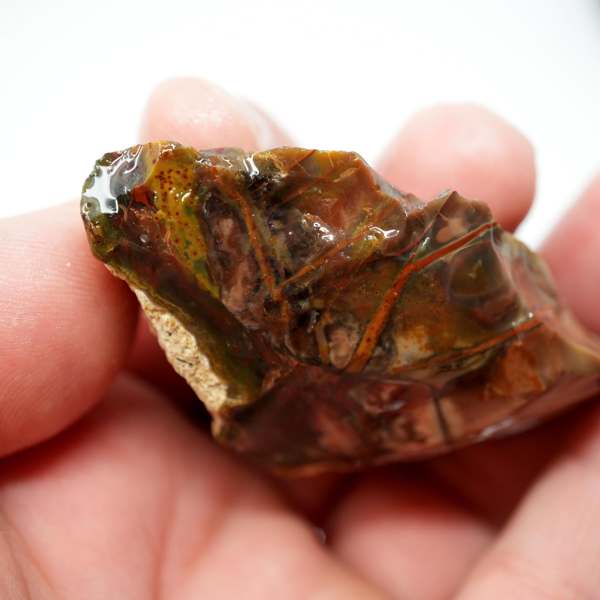 Morrisonite Jasper Rough - Pink with Bright Red Back Small Trimmer