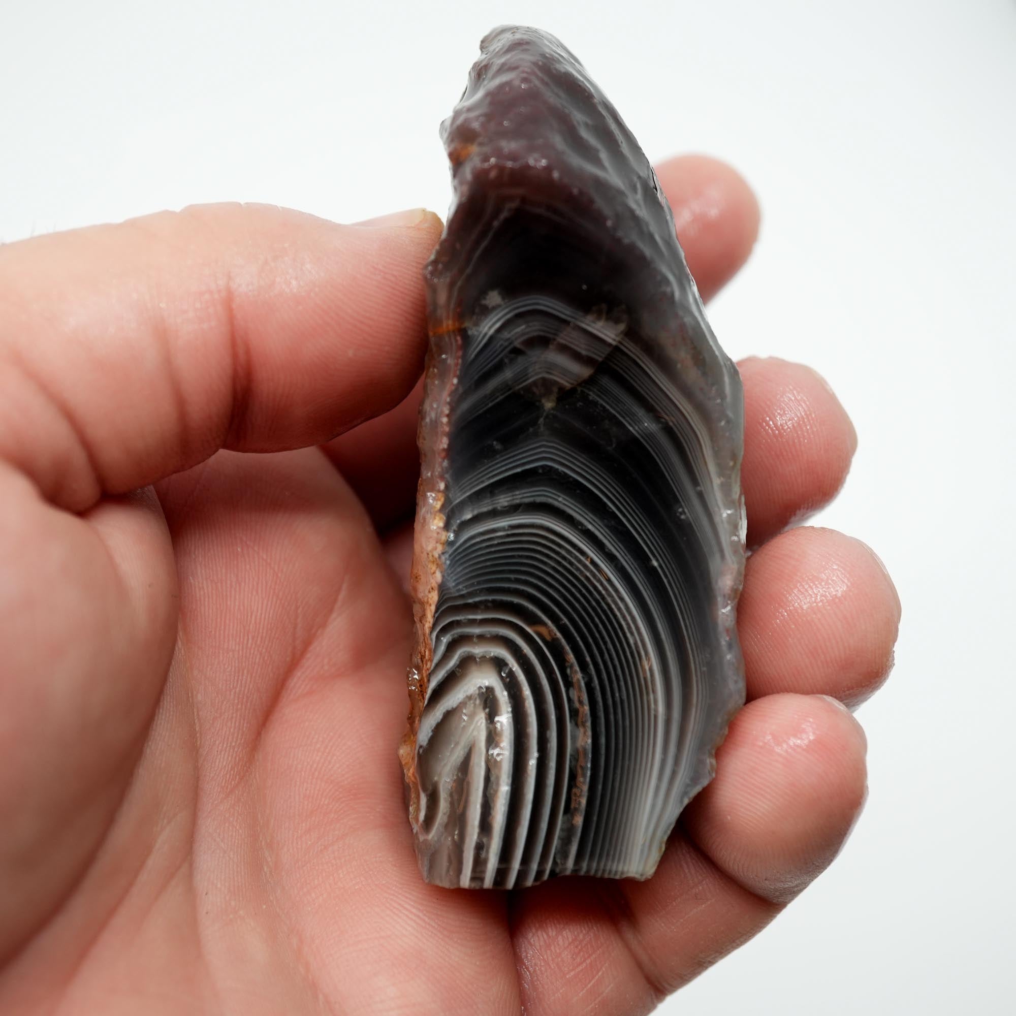 Botswana Agate Rough - Old Stock Deep Blue with Well-Defined Shadow Lines