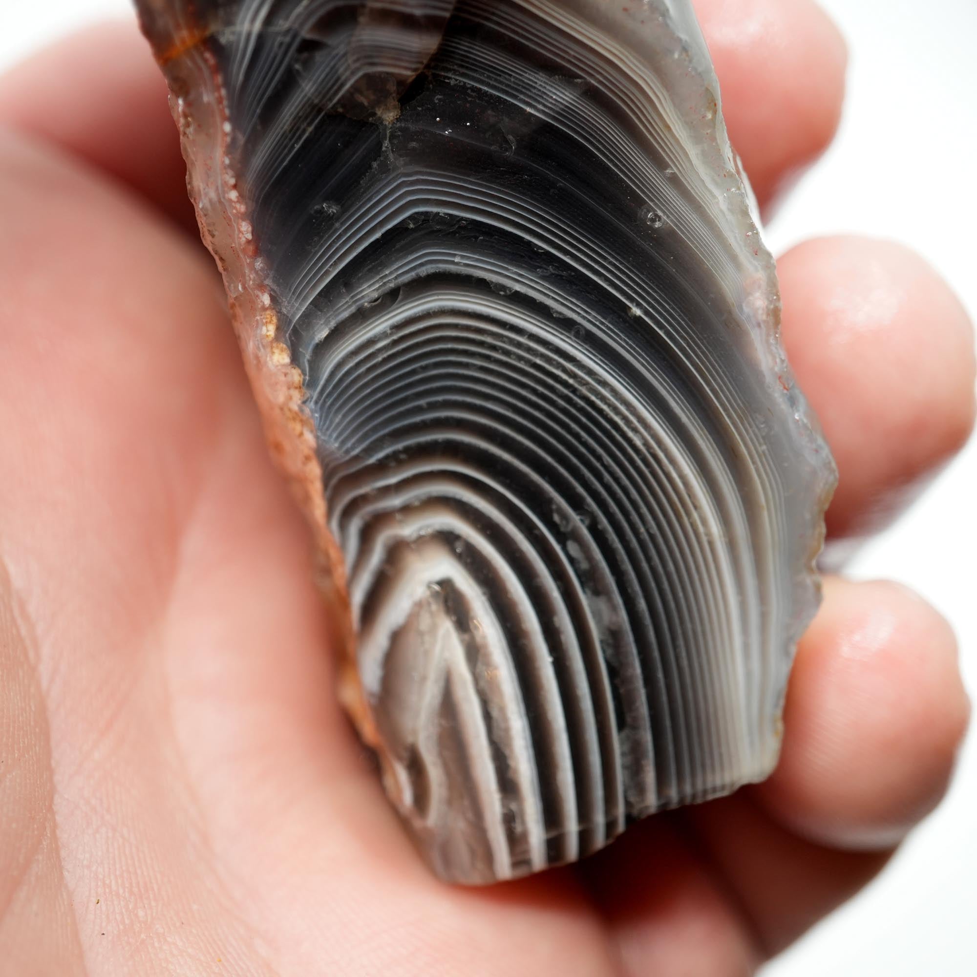Botswana Agate Rough - Old Stock Deep Blue with Well-Defined Shadow Lines
