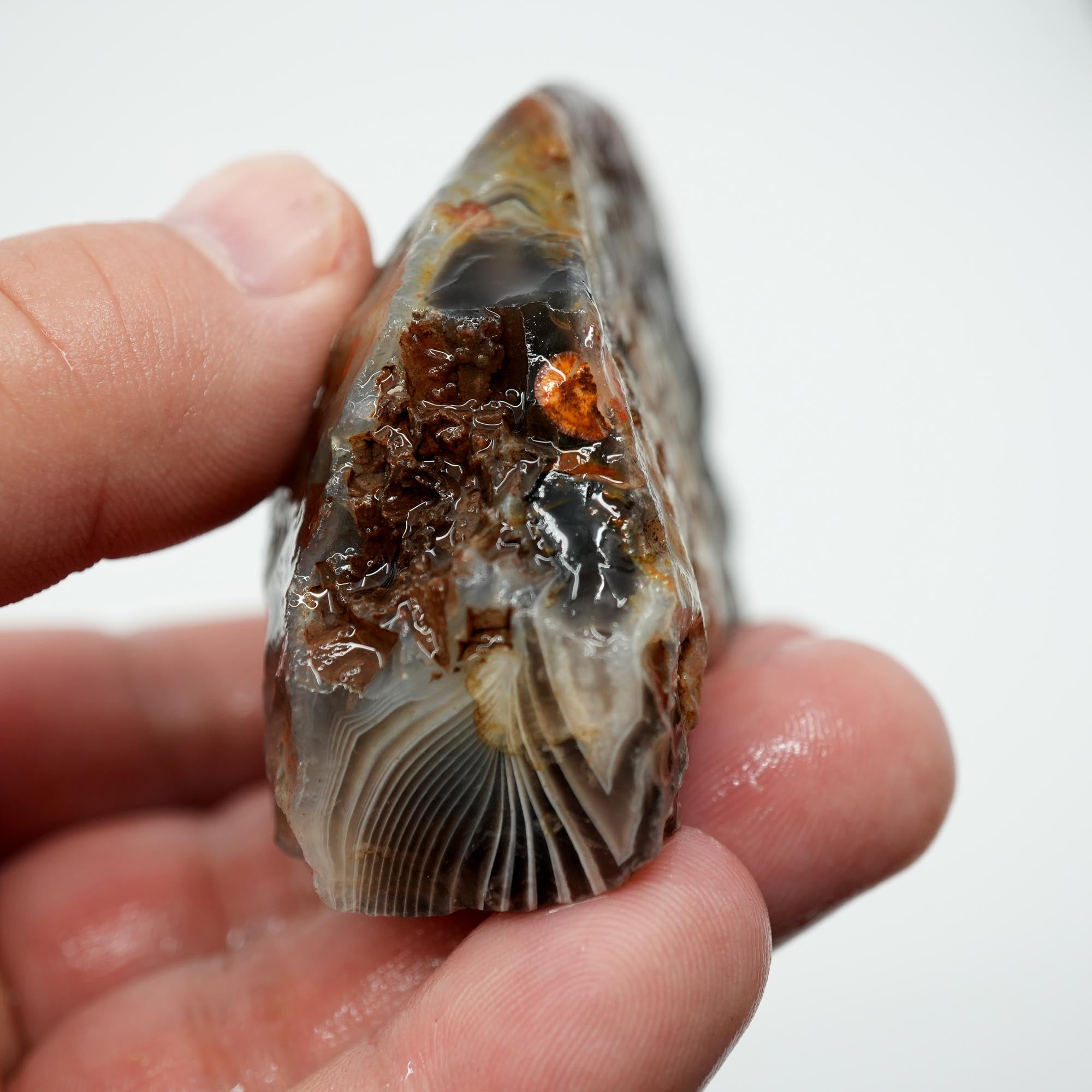 Botswana Agate Rough - Old Stock Deep Blue with Well-Defined Shadow Lines