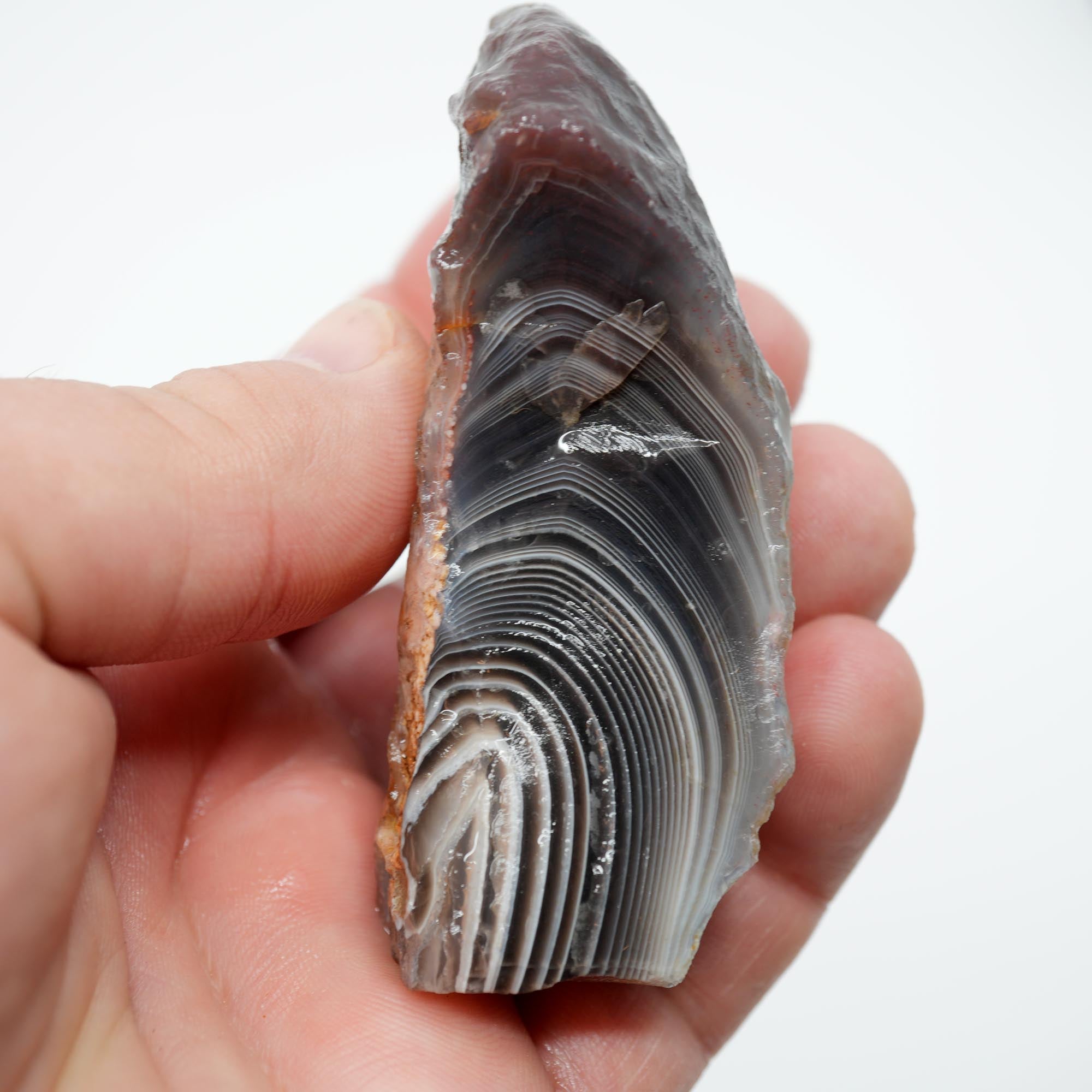 Botswana Agate Rough - Old Stock Deep Blue with Well-Defined Shadow Lines