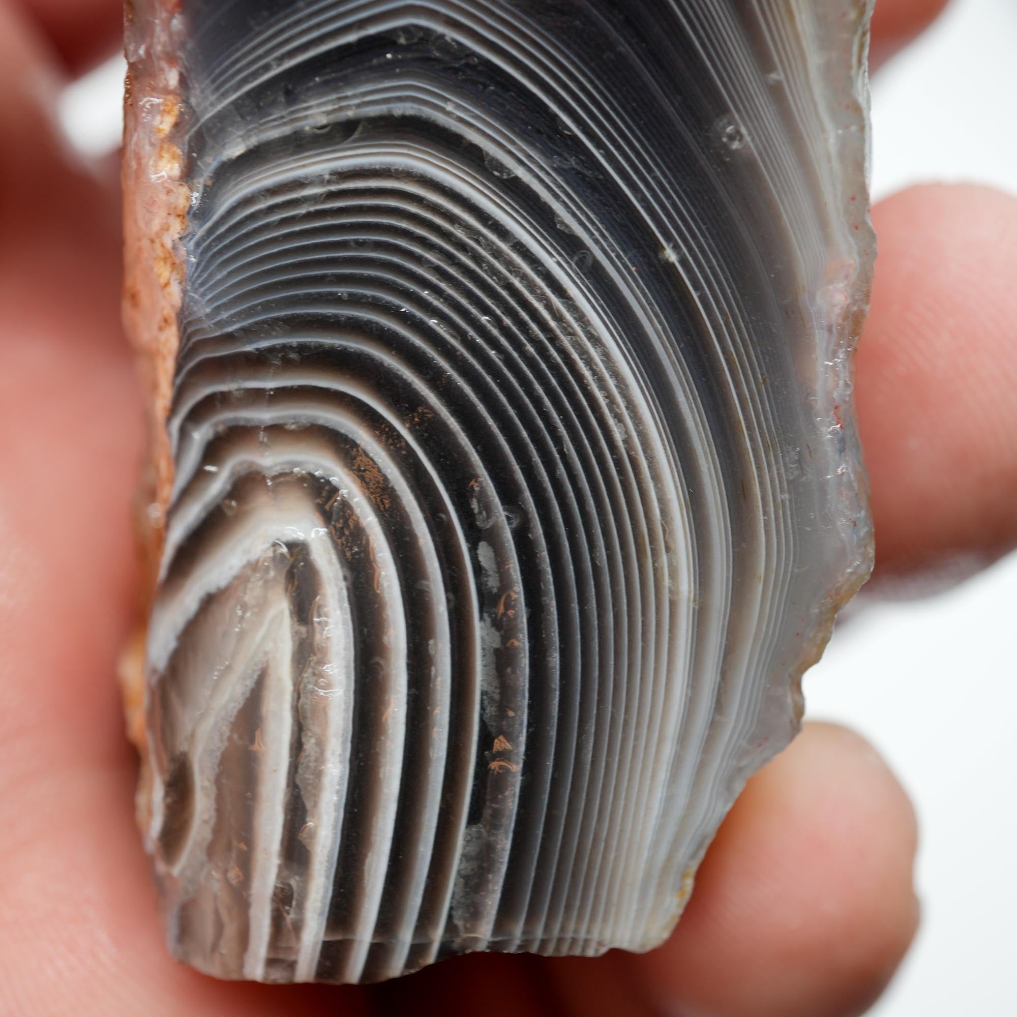 Botswana Agate Rough - Old Stock Deep Blue with Well-Defined Shadow Lines