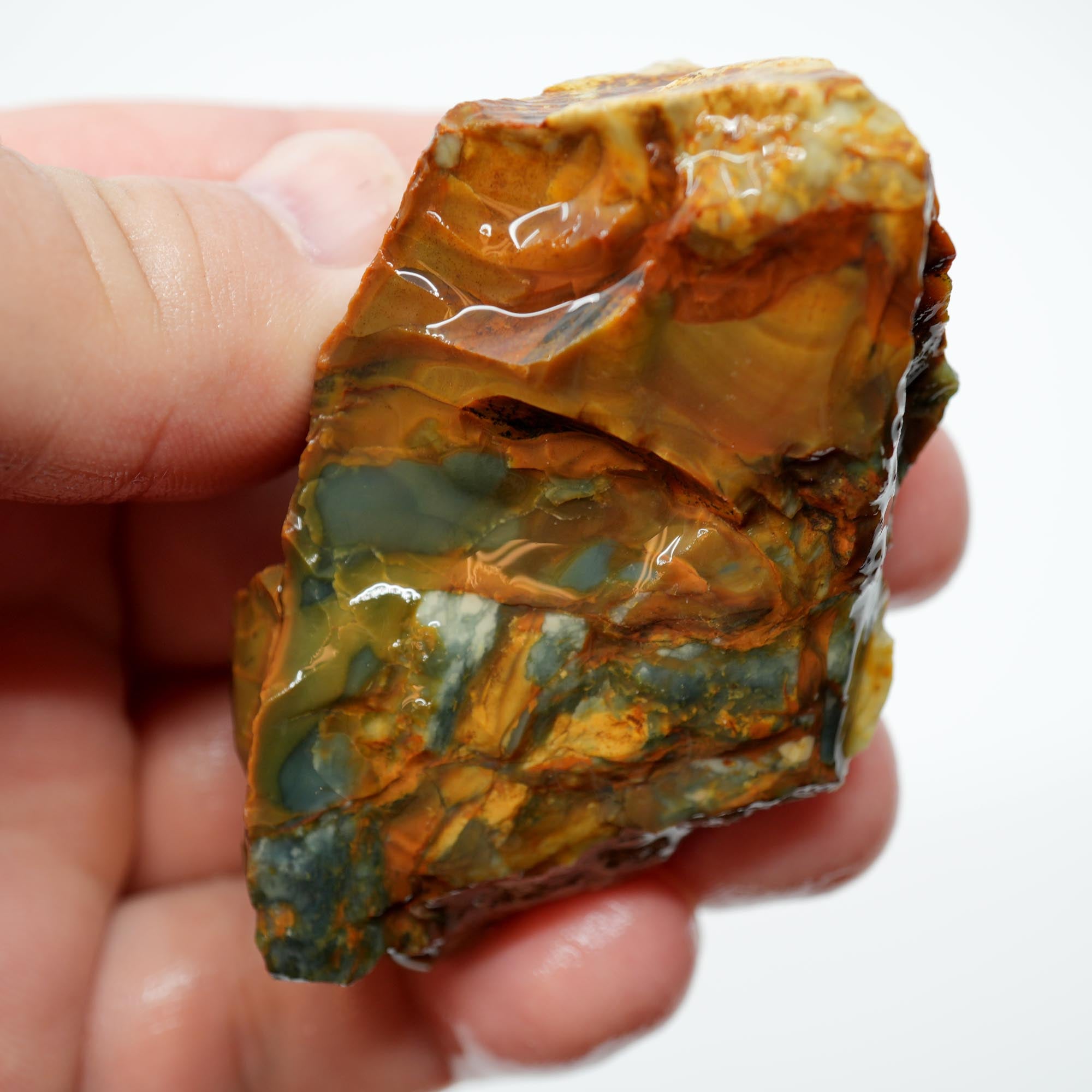 Morrisonite Jasper Rough - Gorgeous Blue-Green with Classic Creamy Pattern