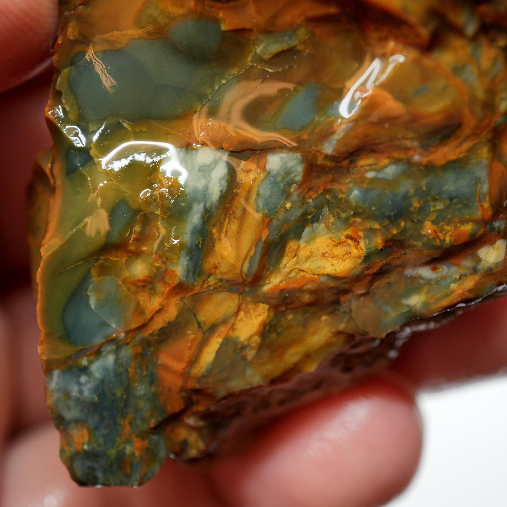 Morrisonite Jasper Rough - Gorgeous Blue-Green with Classic Creamy Pattern