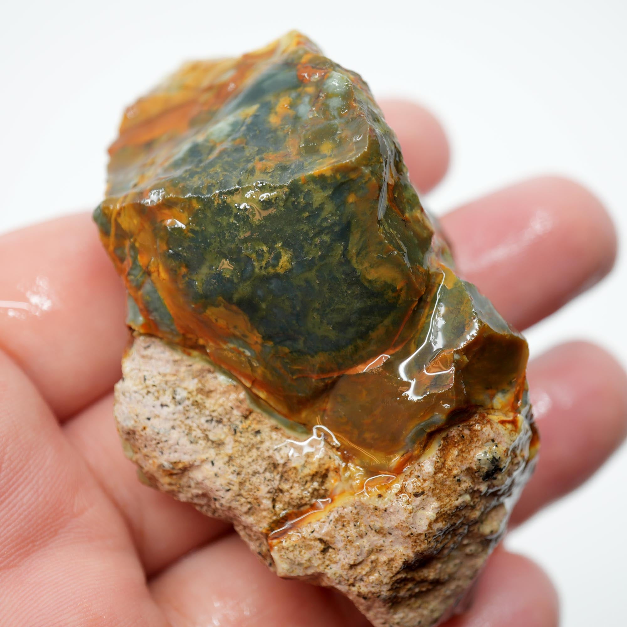 Morrisonite Jasper Rough - Gorgeous Blue-Green with Classic Creamy Pattern