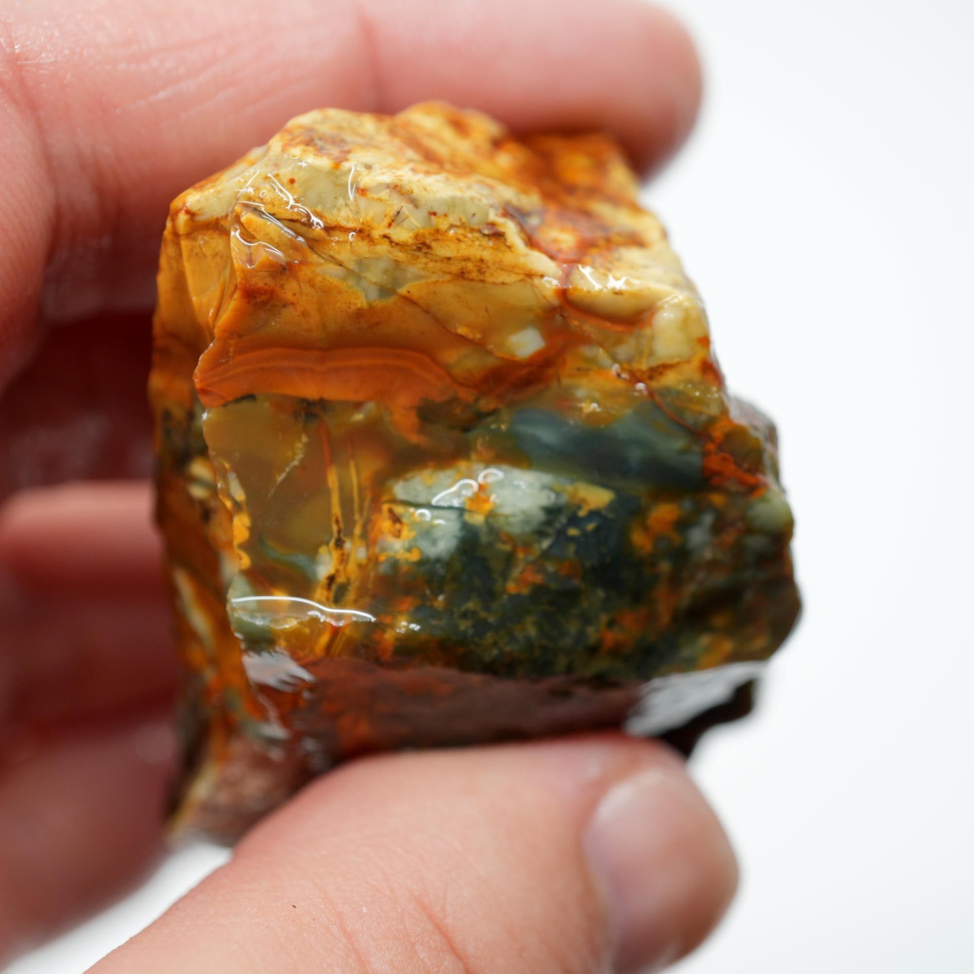 Morrisonite Jasper Rough - Gorgeous Blue-Green with Classic Creamy Pattern