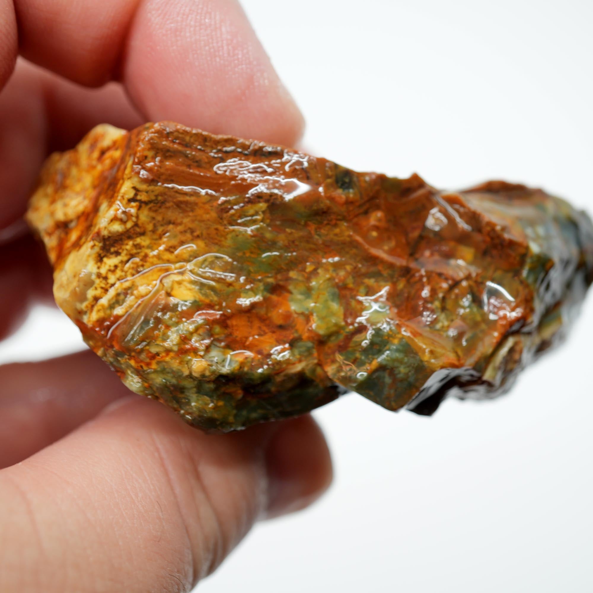 Morrisonite Jasper Rough - Gorgeous Blue-Green with Classic Creamy Pattern