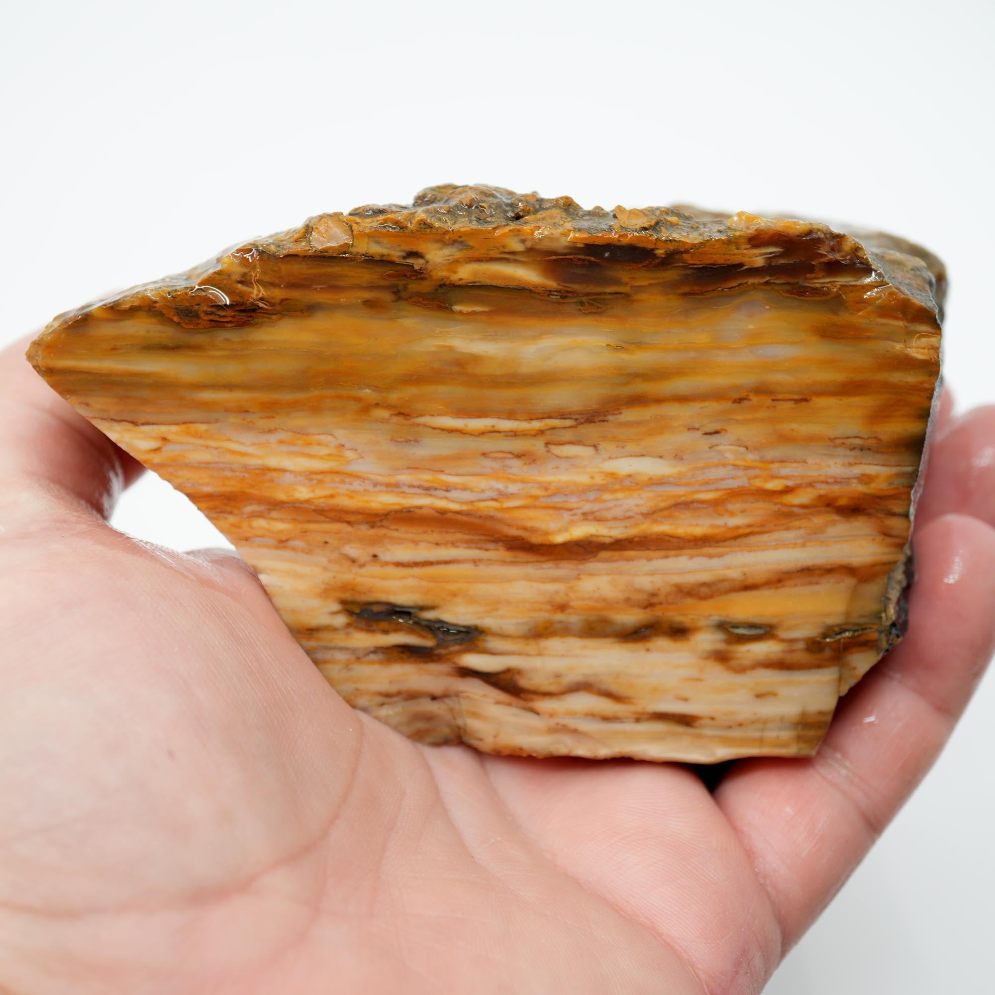 Paiute Jasper Rough - Old Stock Cloud Pattern Cut on One Side