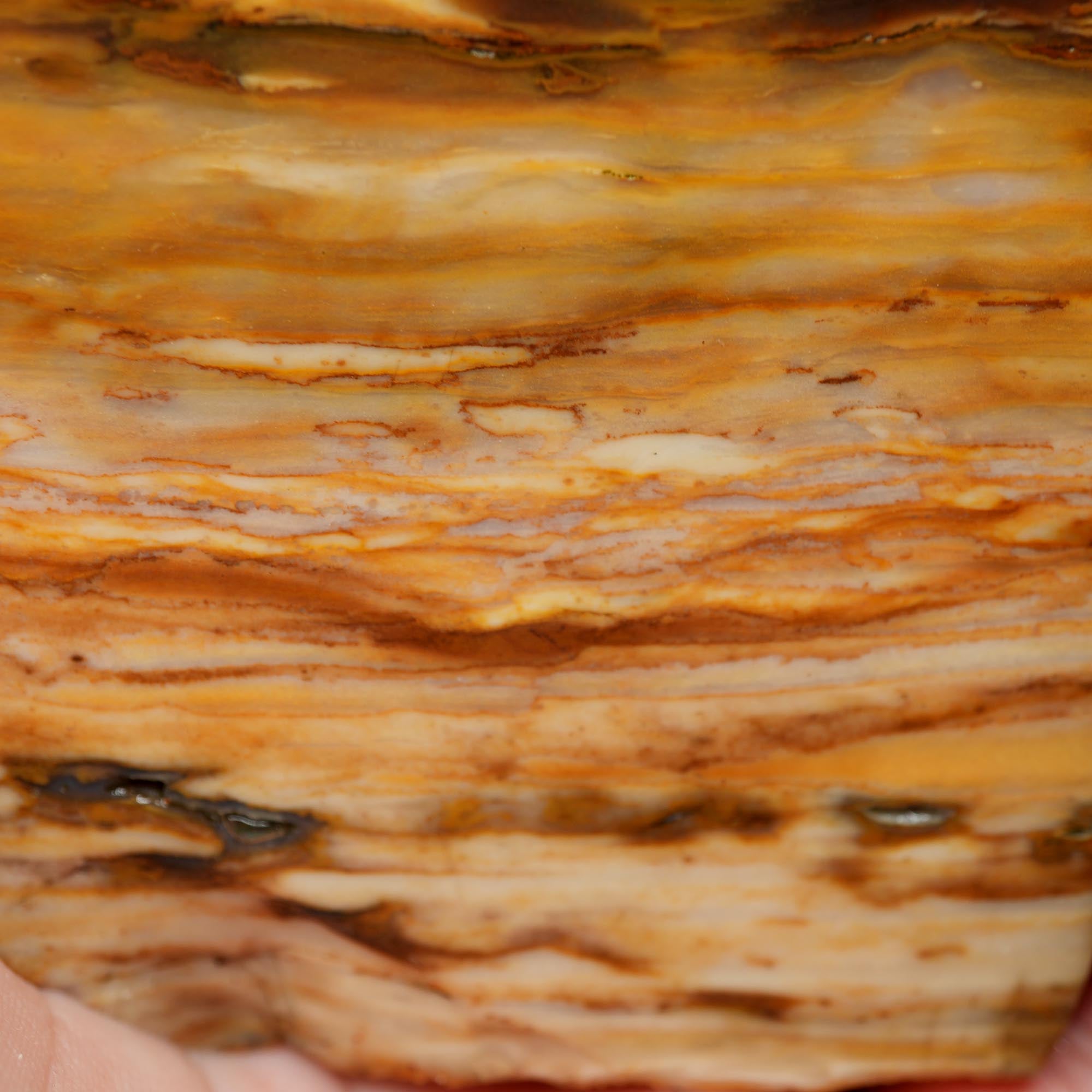 Paiute Jasper Rough - Old Stock Cloud Pattern Cut on One Side