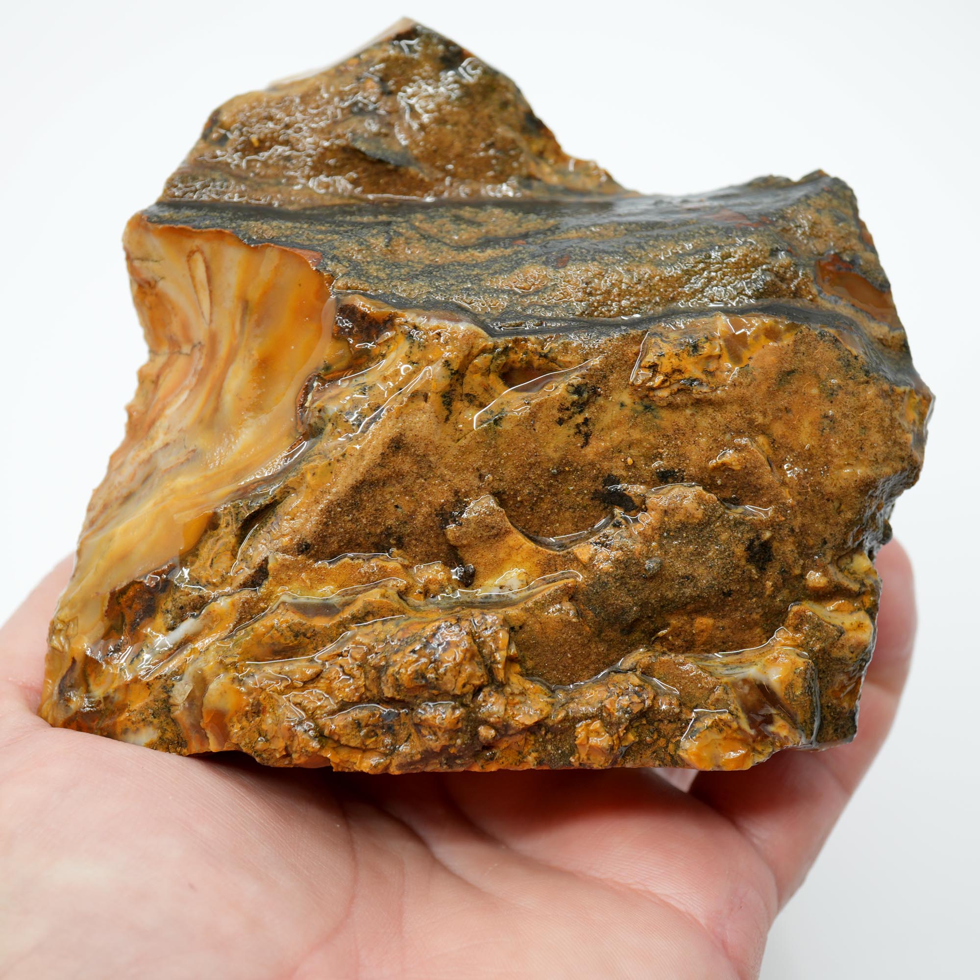 Paiute Jasper Rough - Old Stock Cloud Pattern Cut on One Side