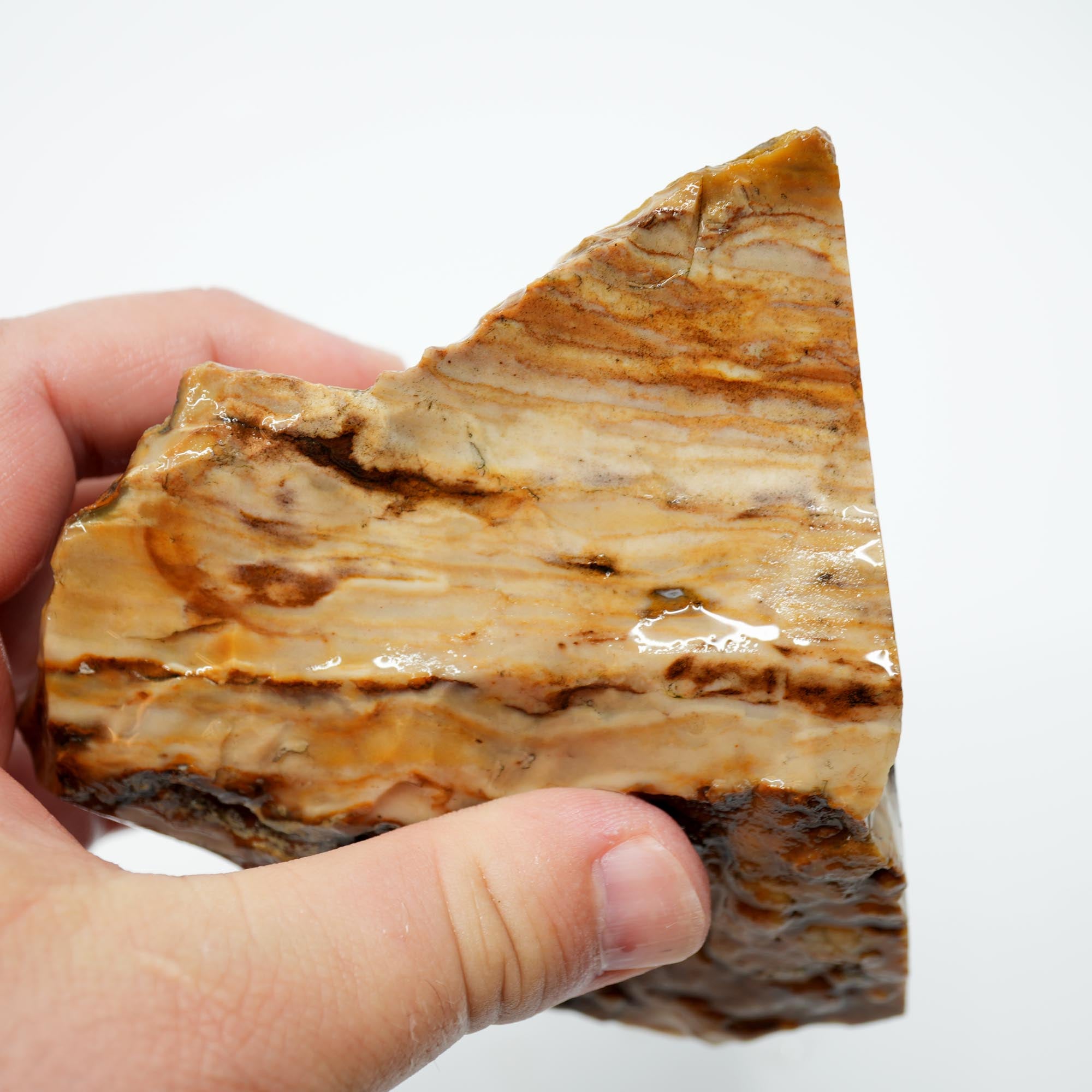 Paiute Jasper Rough - Old Stock Cloud Pattern Cut on One Side