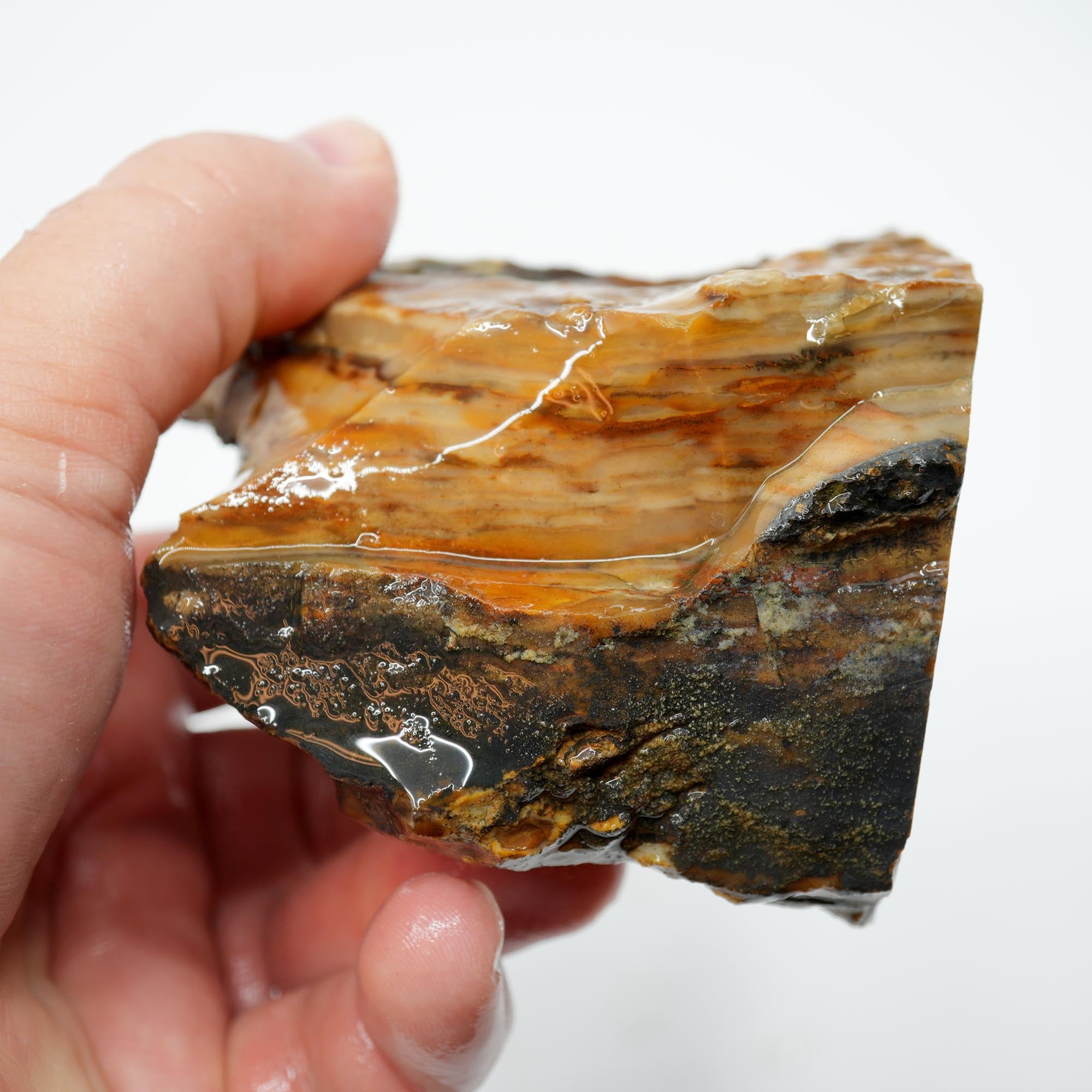 Paiute Jasper Rough - Old Stock Cloud Pattern Cut on One Side