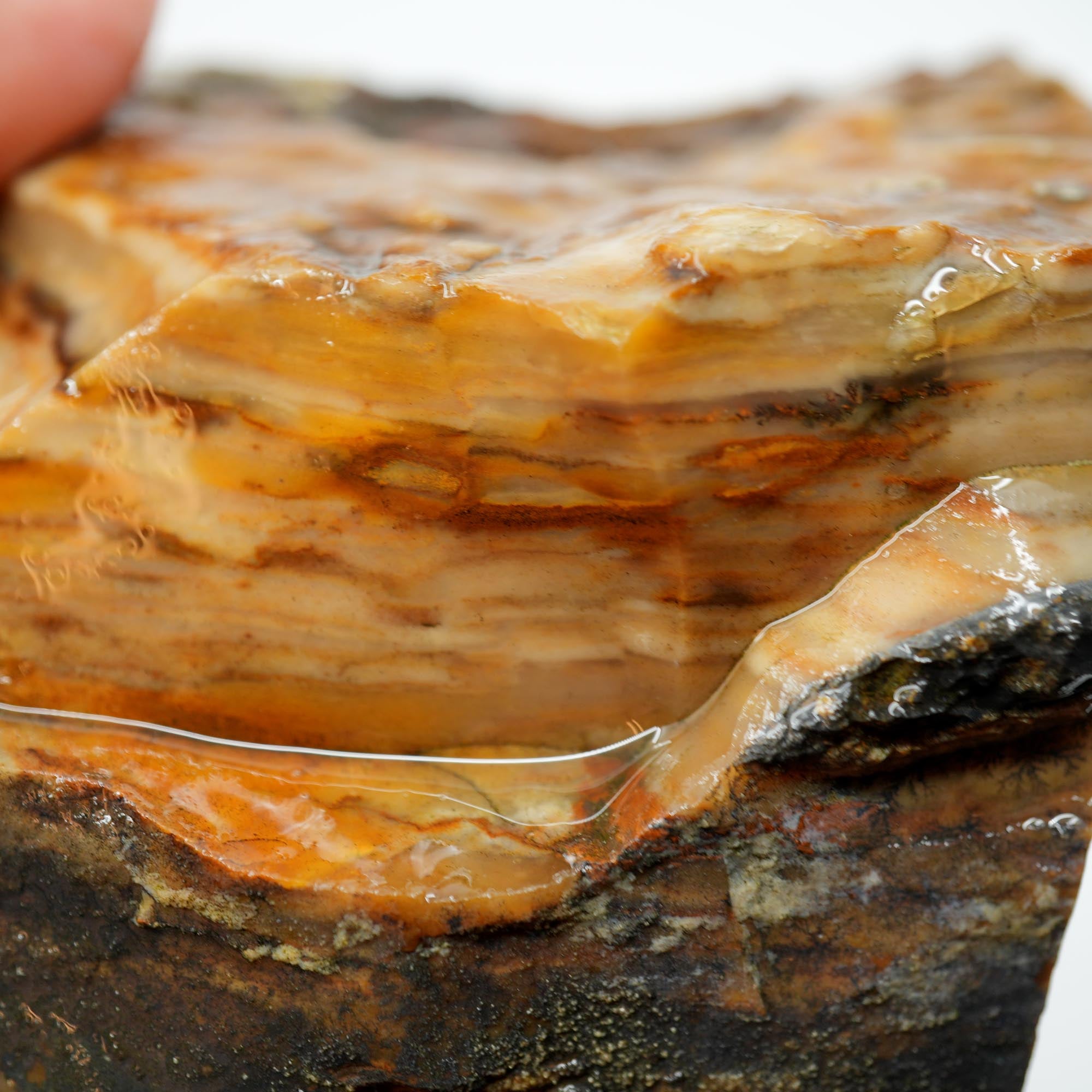 Paiute Jasper Rough - Old Stock Cloud Pattern Cut on One Side