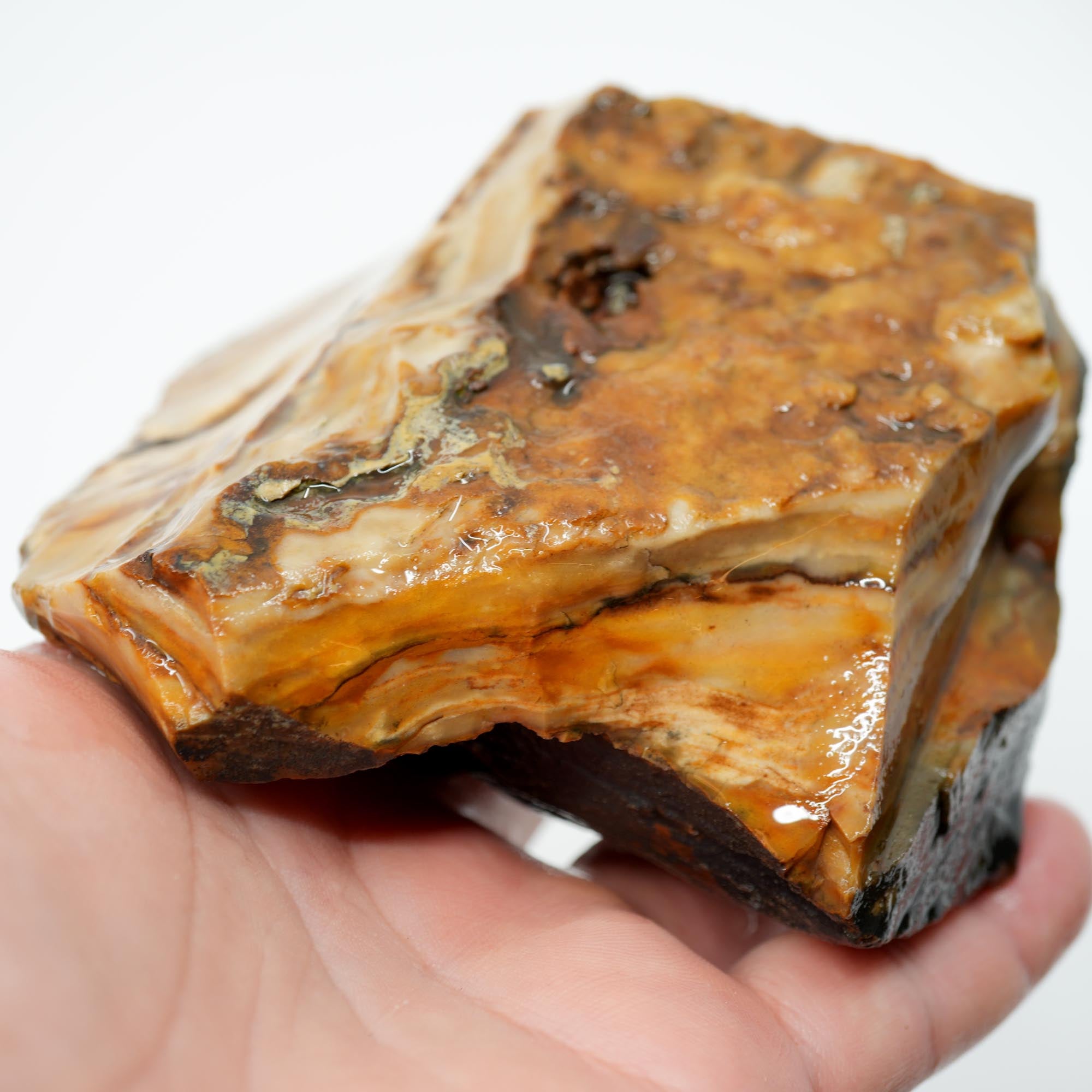 Paiute Jasper Rough - Old Stock Cloud Pattern Cut on One Side