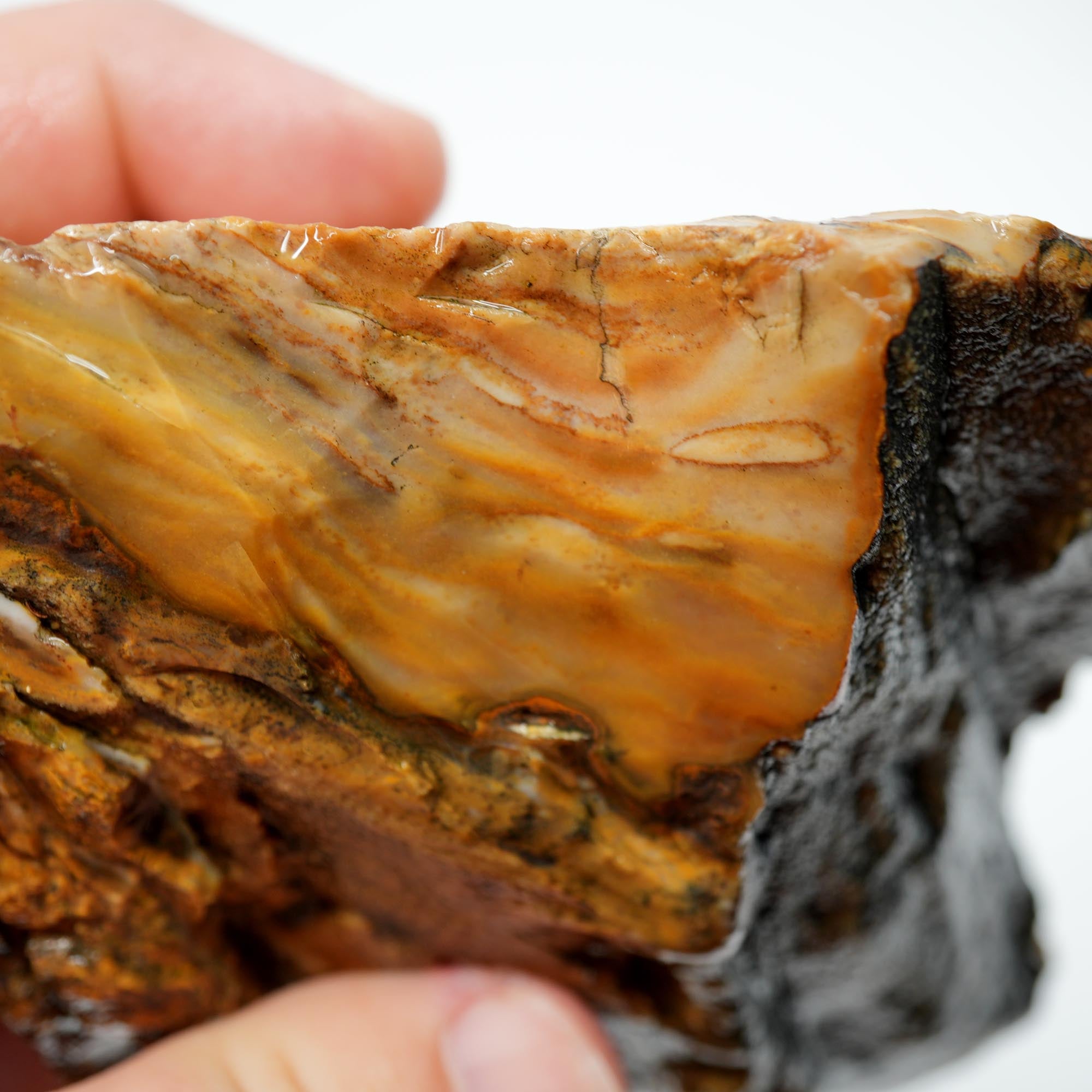 Paiute Jasper Rough - Old Stock Cloud Pattern Cut on One Side