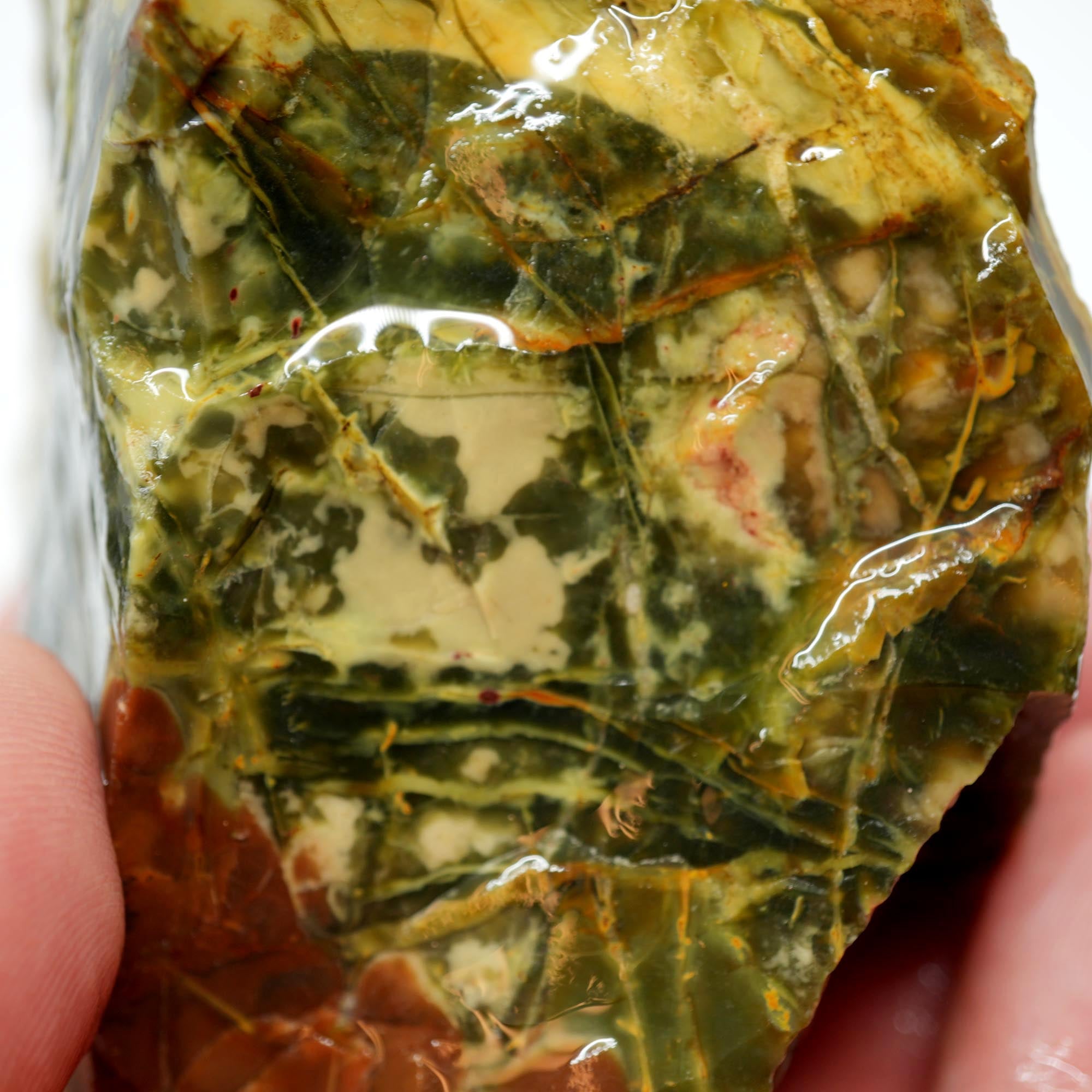 Morrisonite Jasper Rough - Old Stock Dark Green Purple with Iconic Flowing Pattern