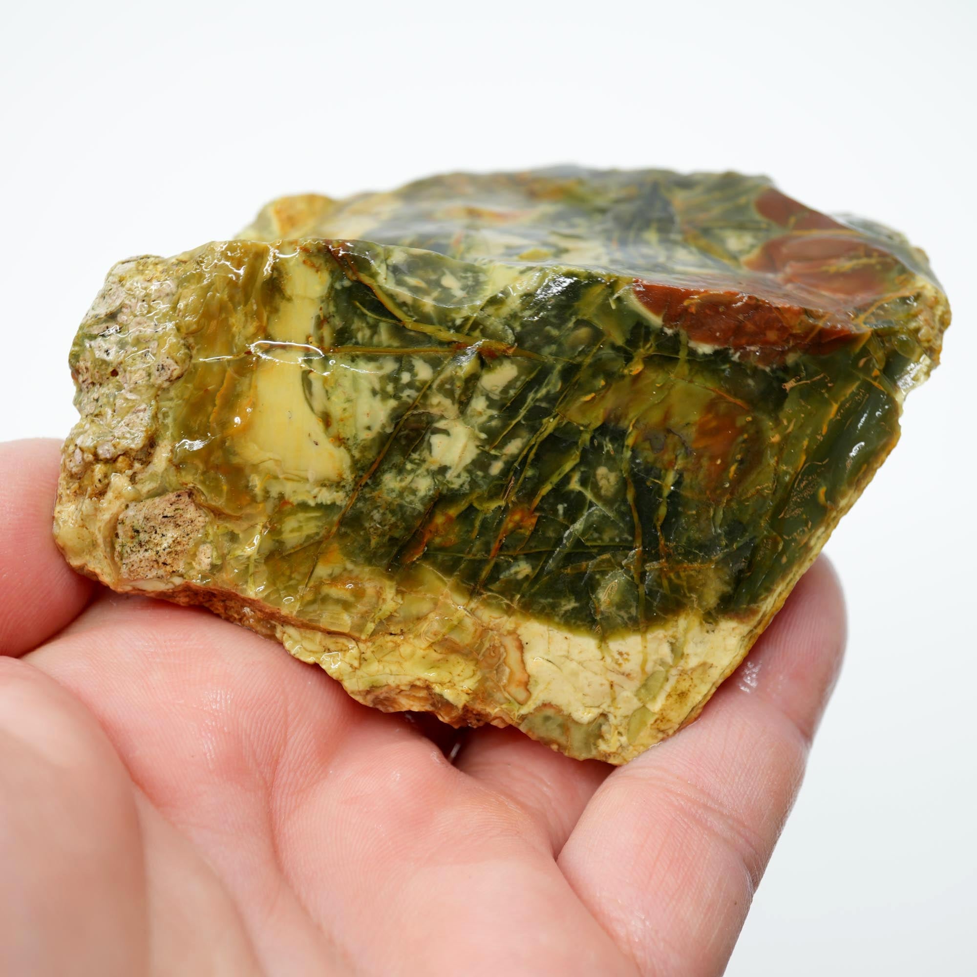 Morrisonite Jasper Rough - Old Stock Dark Green Purple with Iconic Flowing Pattern