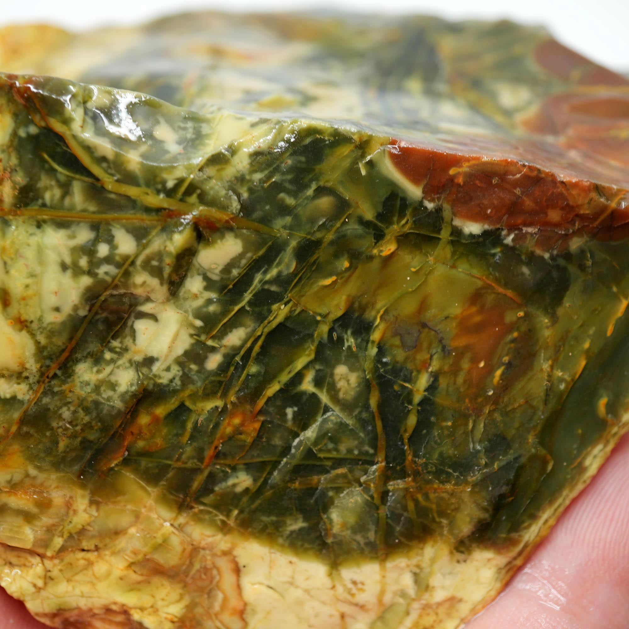 Morrisonite Jasper Rough - Old Stock Dark Green Purple with Iconic Flowing Pattern