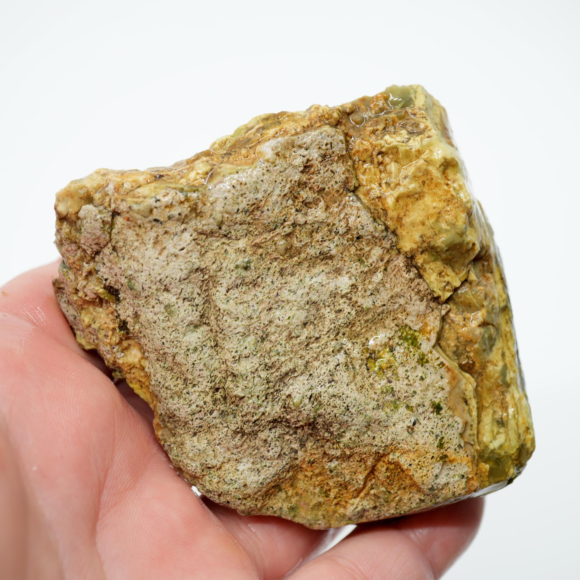 Morrisonite Jasper Rough - Old Stock Dark Green Purple with Iconic Flowing Pattern